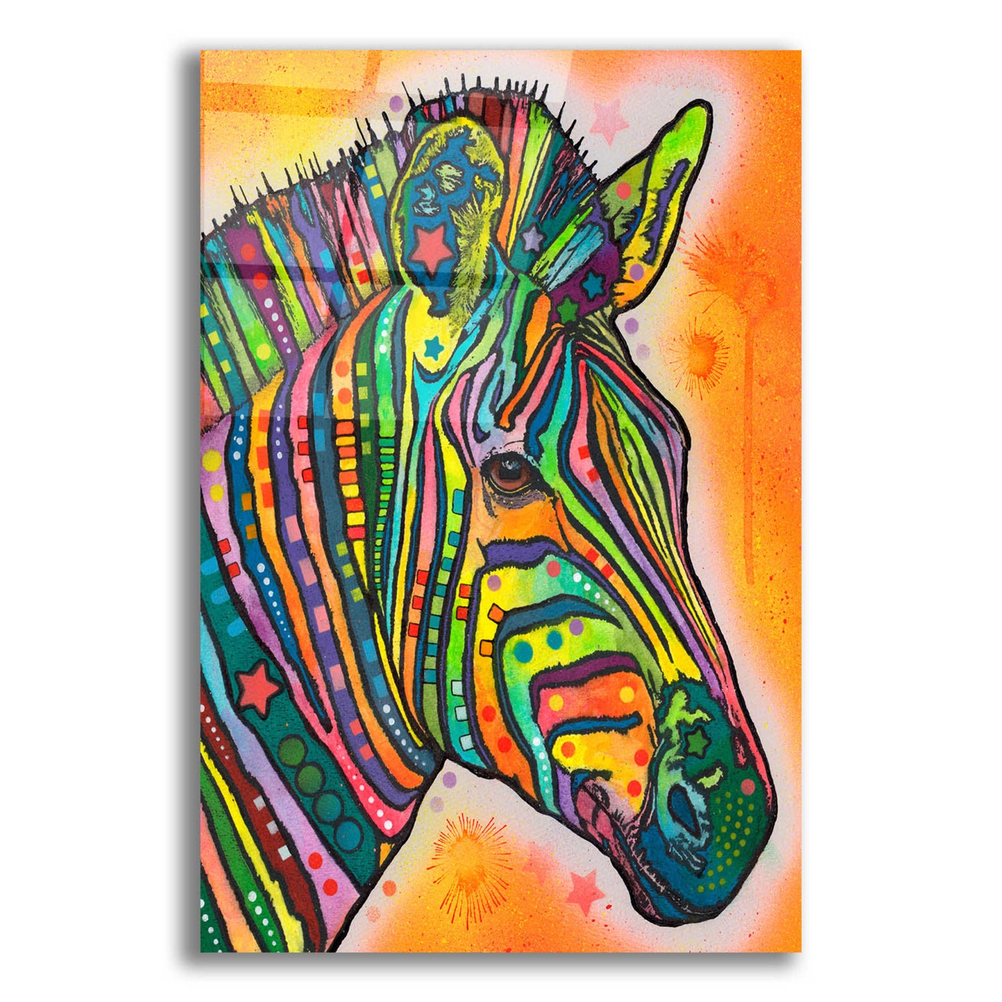 Epic Art 'Zebra' by Dean Russo, Acrylic Glass Wall Art,12x16