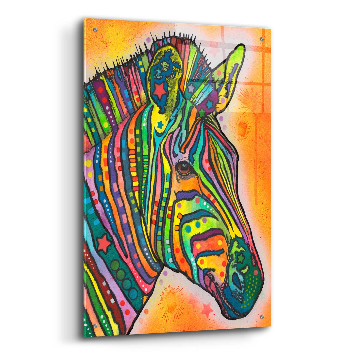 Epic Art 'Zebra' by Dean Russo, Acrylic Glass Wall Art,24x36