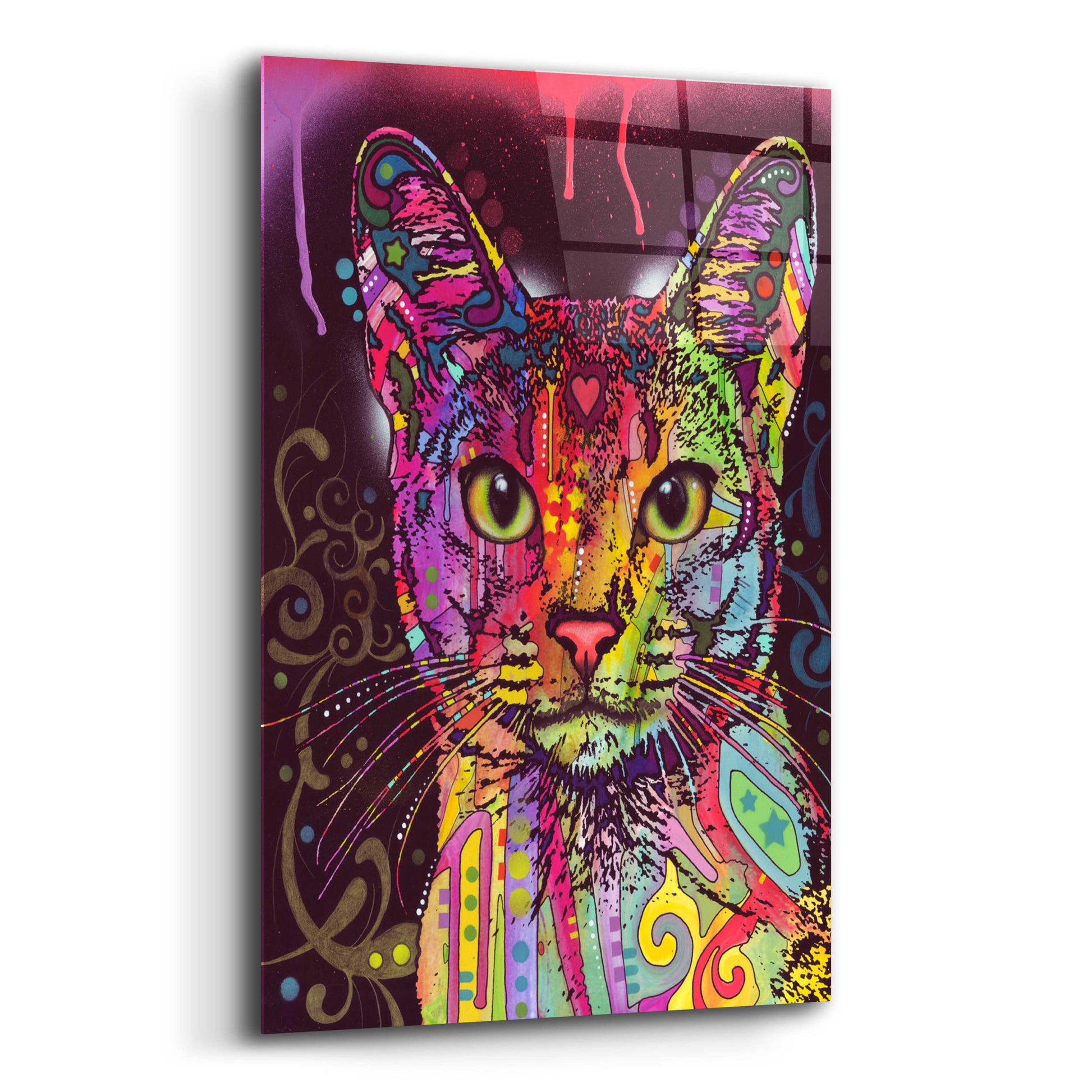 Epic Art 'Abyssinian' by Dean Russo, Acrylic Glass Wall Art,12x16