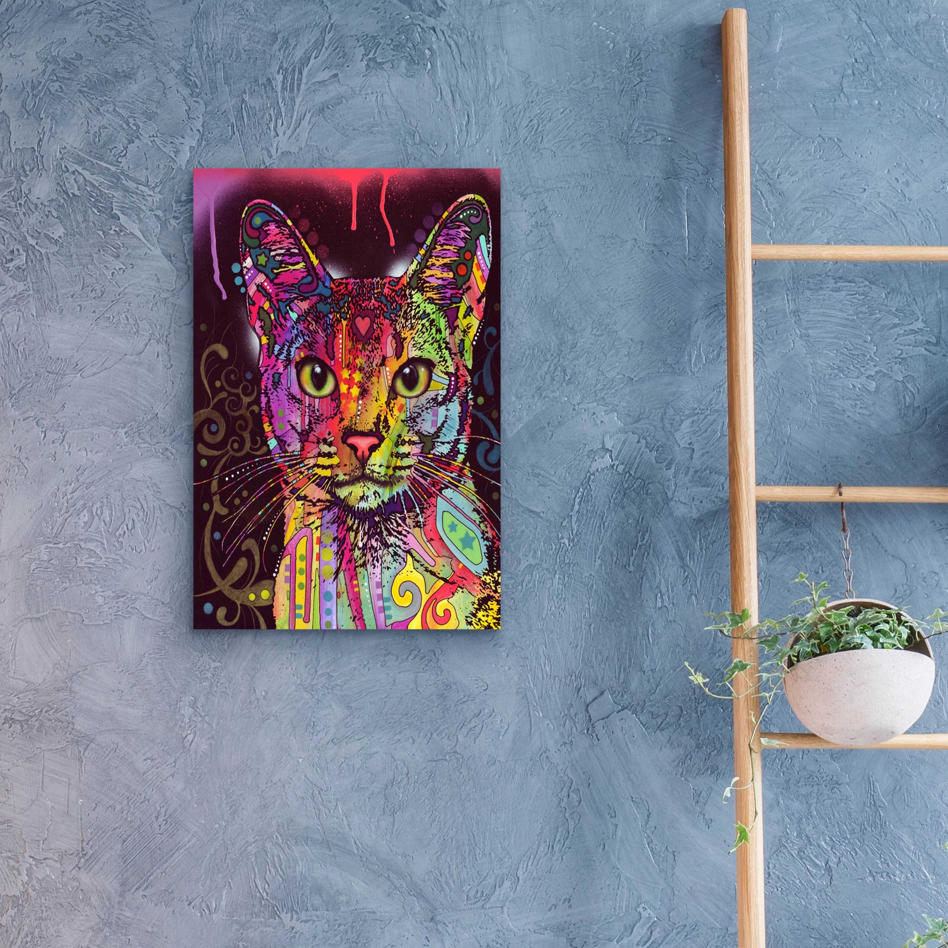 Epic Art 'Abyssinian' by Dean Russo, Acrylic Glass Wall Art,16x24