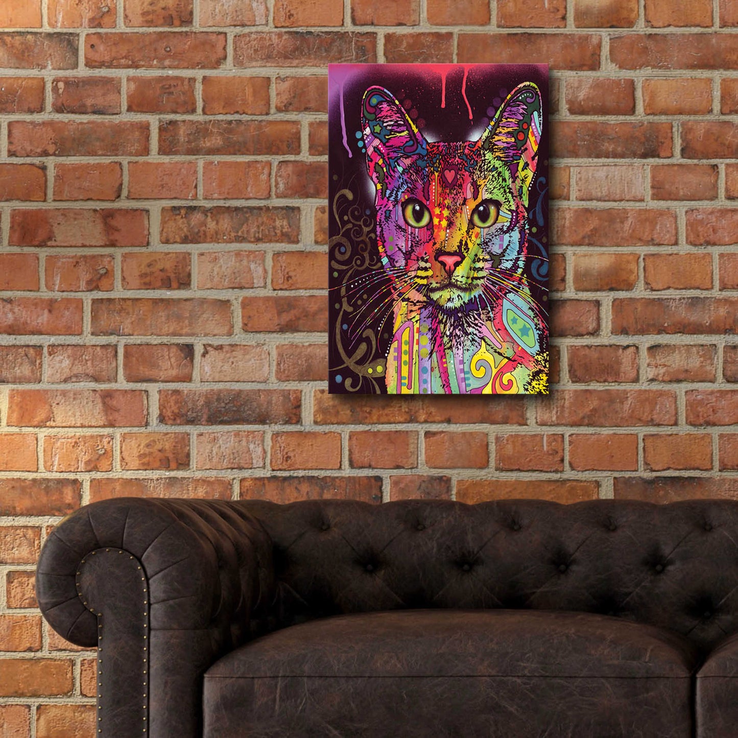 Epic Art 'Abyssinian' by Dean Russo, Acrylic Glass Wall Art,16x24