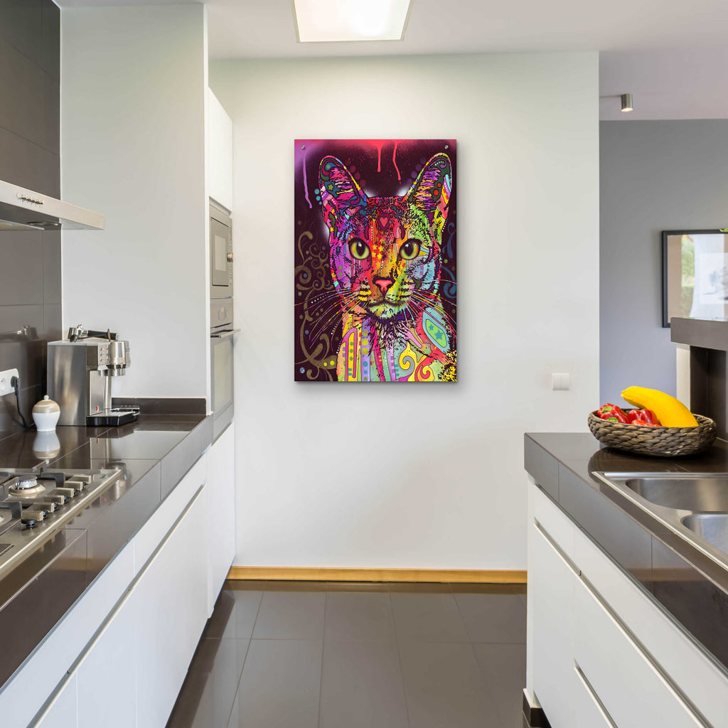 Epic Art 'Abyssinian' by Dean Russo, Acrylic Glass Wall Art,24x36
