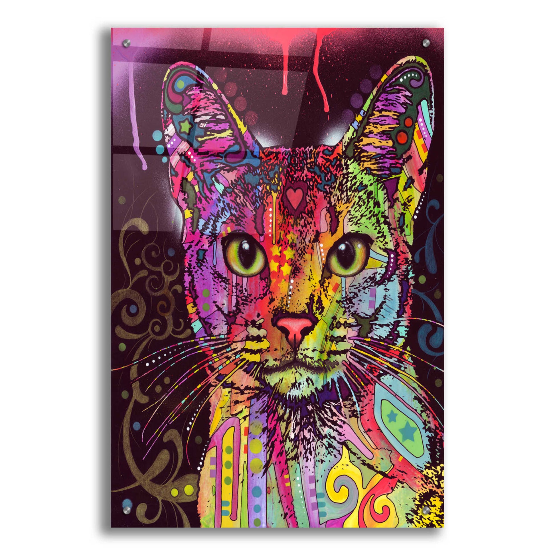 Epic Art 'Abyssinian' by Dean Russo, Acrylic Glass Wall Art,24x36