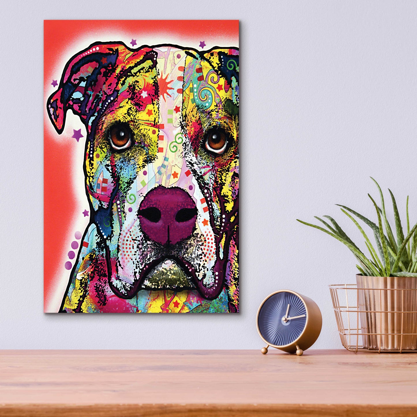 Epic Art 'American Bulldog 1' by Dean Russo, Acrylic Glass Wall Art,12x16