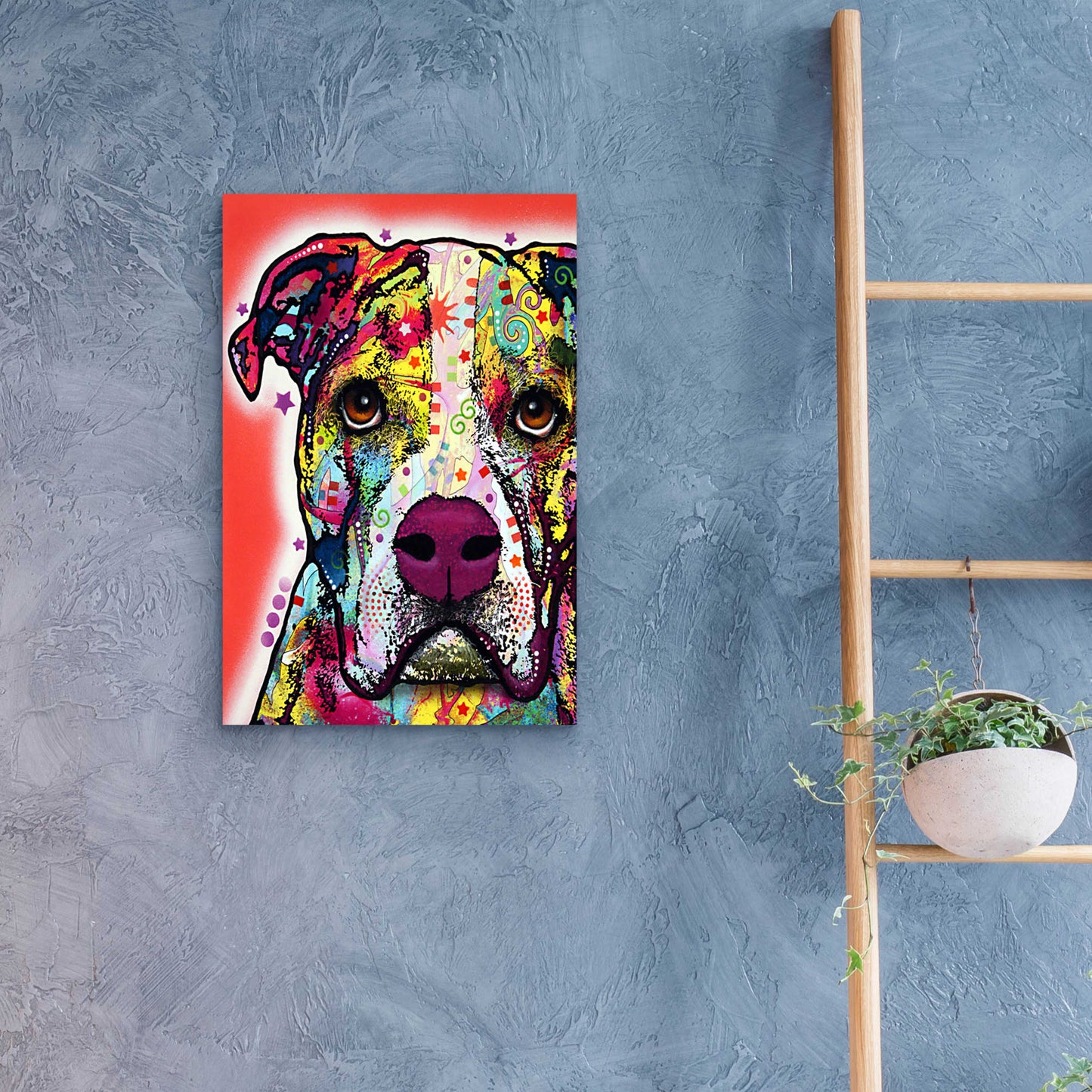 Epic Art 'American Bulldog 1' by Dean Russo, Acrylic Glass Wall Art,16x24