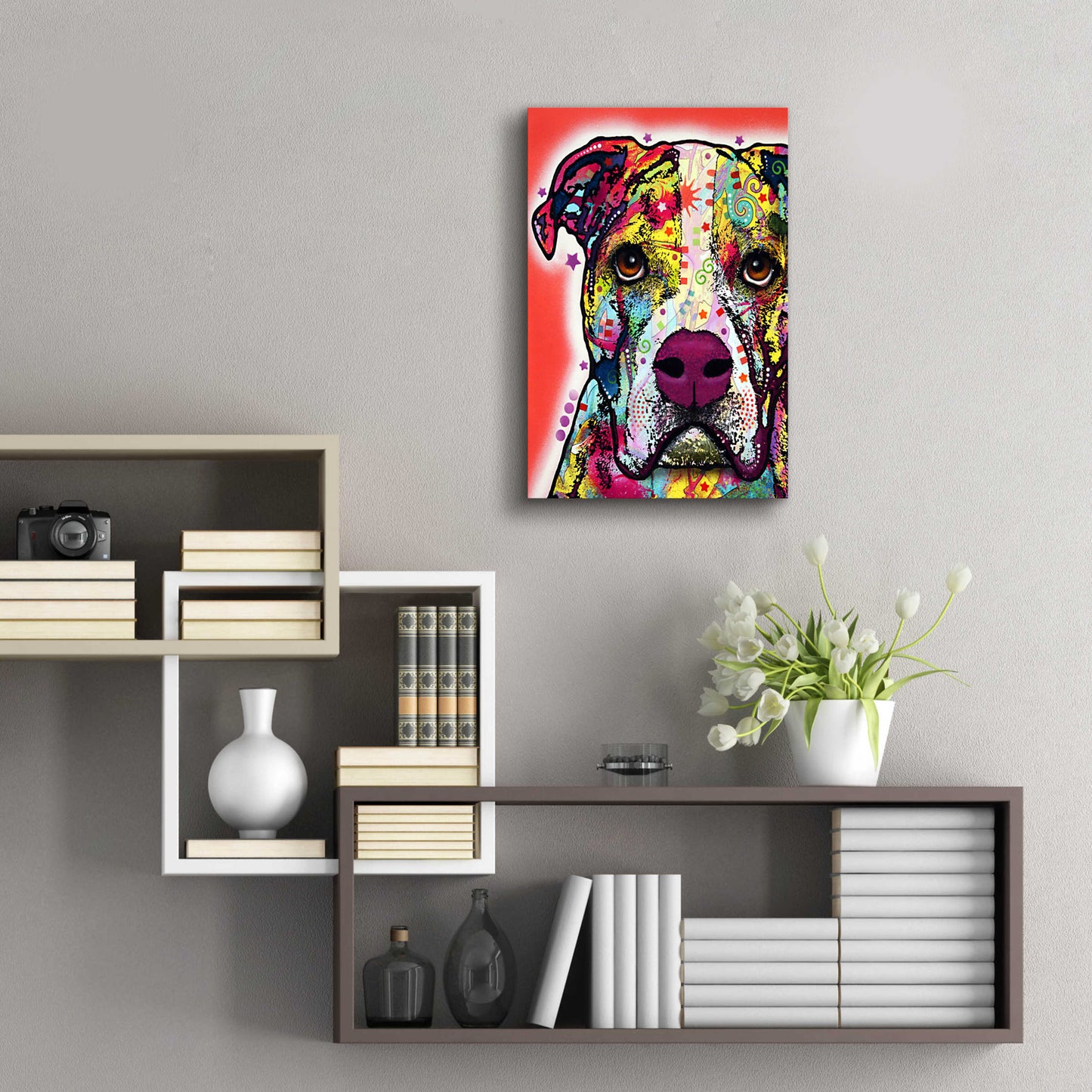 Epic Art 'American Bulldog 1' by Dean Russo, Acrylic Glass Wall Art,16x24