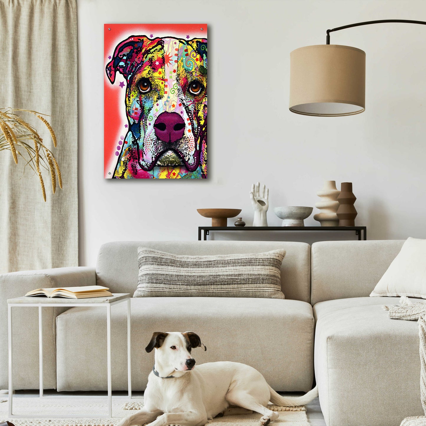 Epic Art 'American Bulldog 1' by Dean Russo, Acrylic Glass Wall Art,24x36