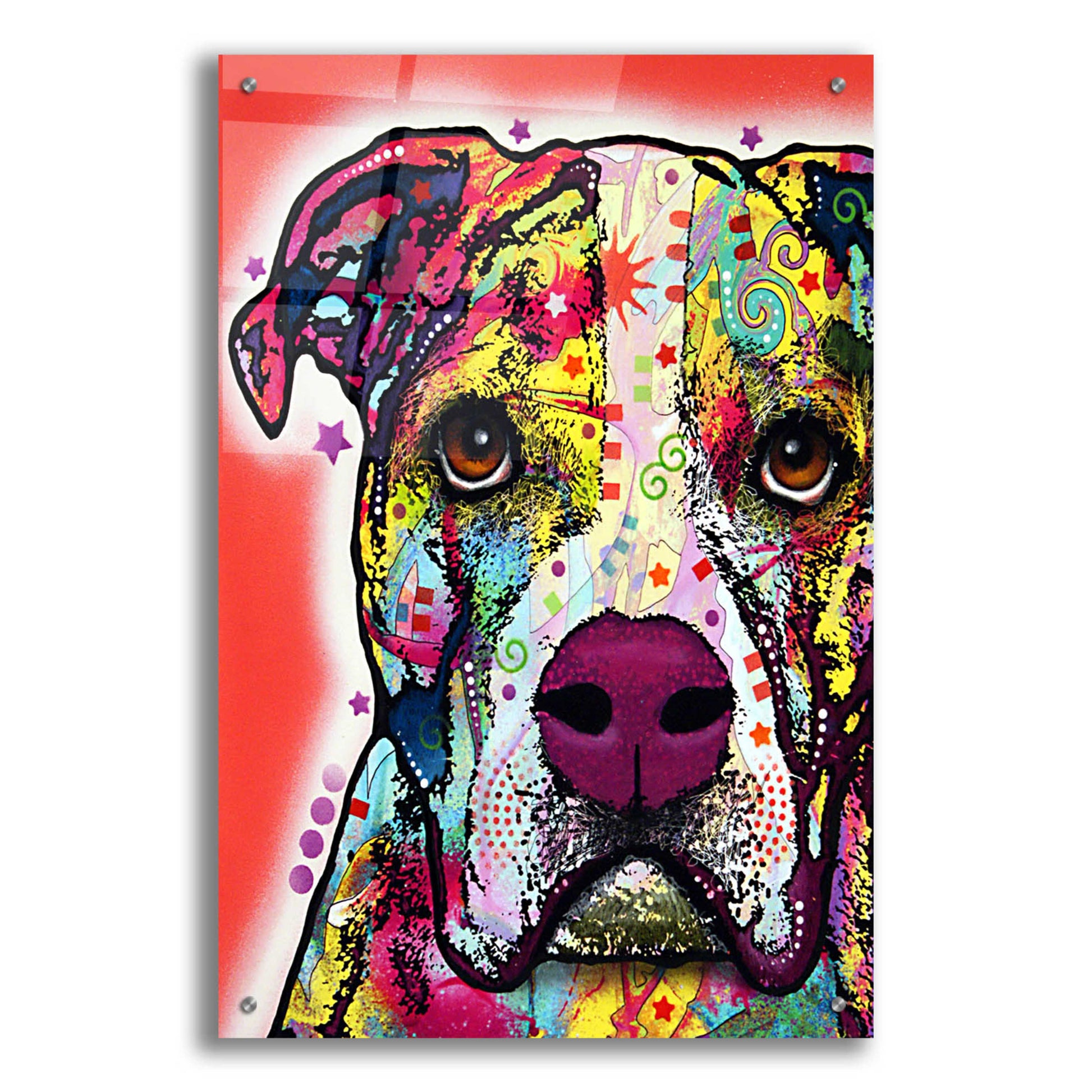 Epic Art 'American Bulldog 1' by Dean Russo, Acrylic Glass Wall Art,24x36