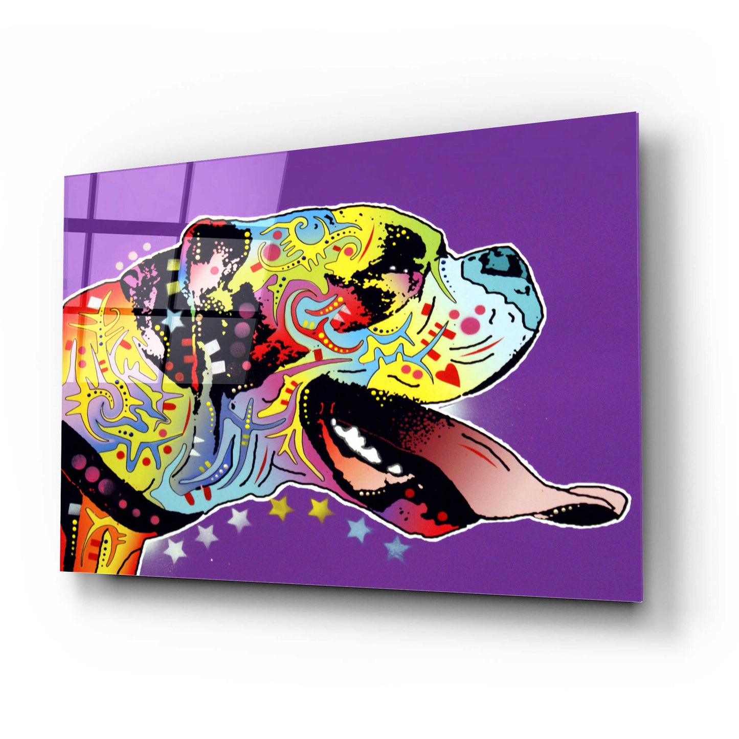 Epic Art 'Happy Boxer' by Dean Russo, Acrylic Glass Wall Art,24x16