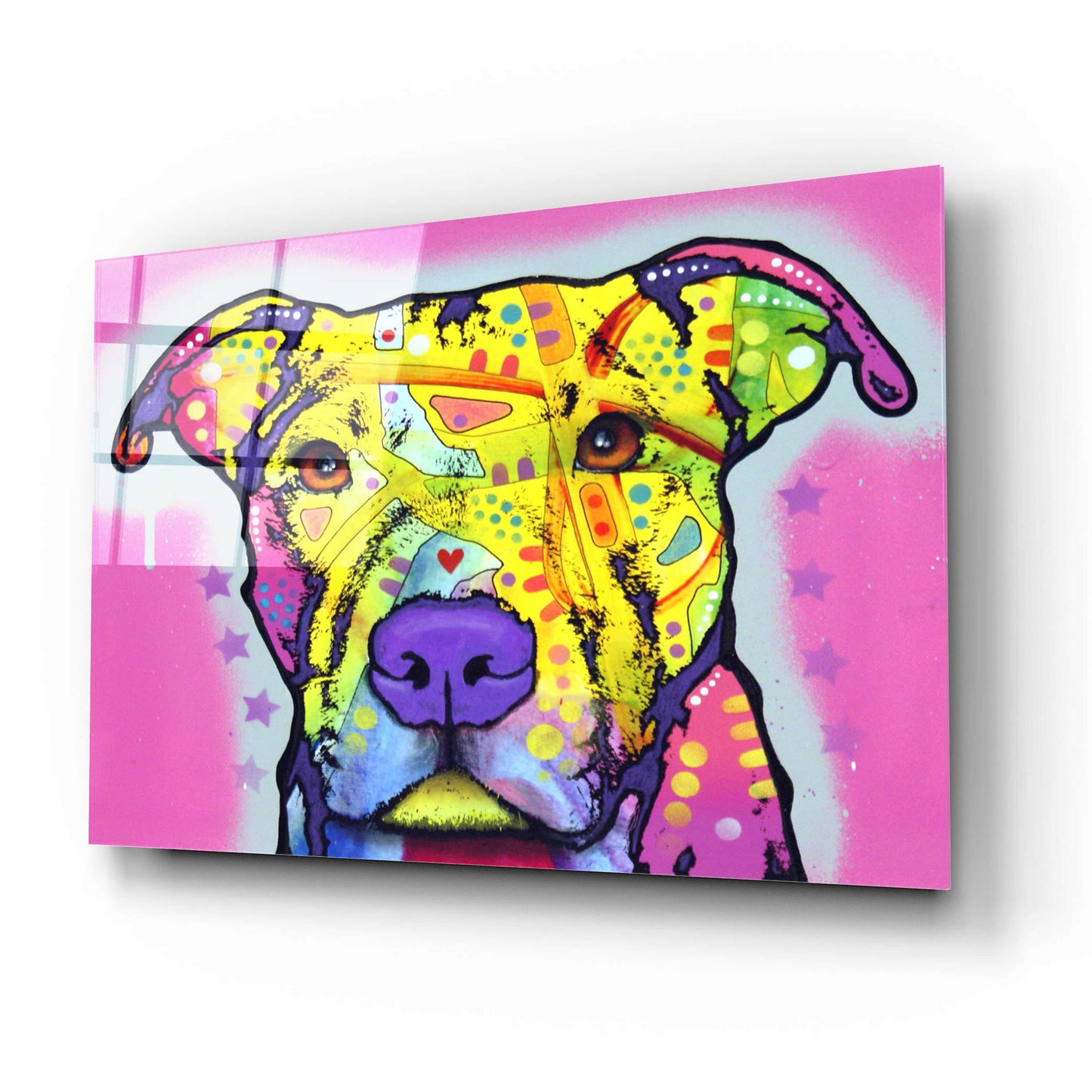 Epic Art 'Focused Pit' by Dean Russo, Acrylic Glass Wall Art,16x12