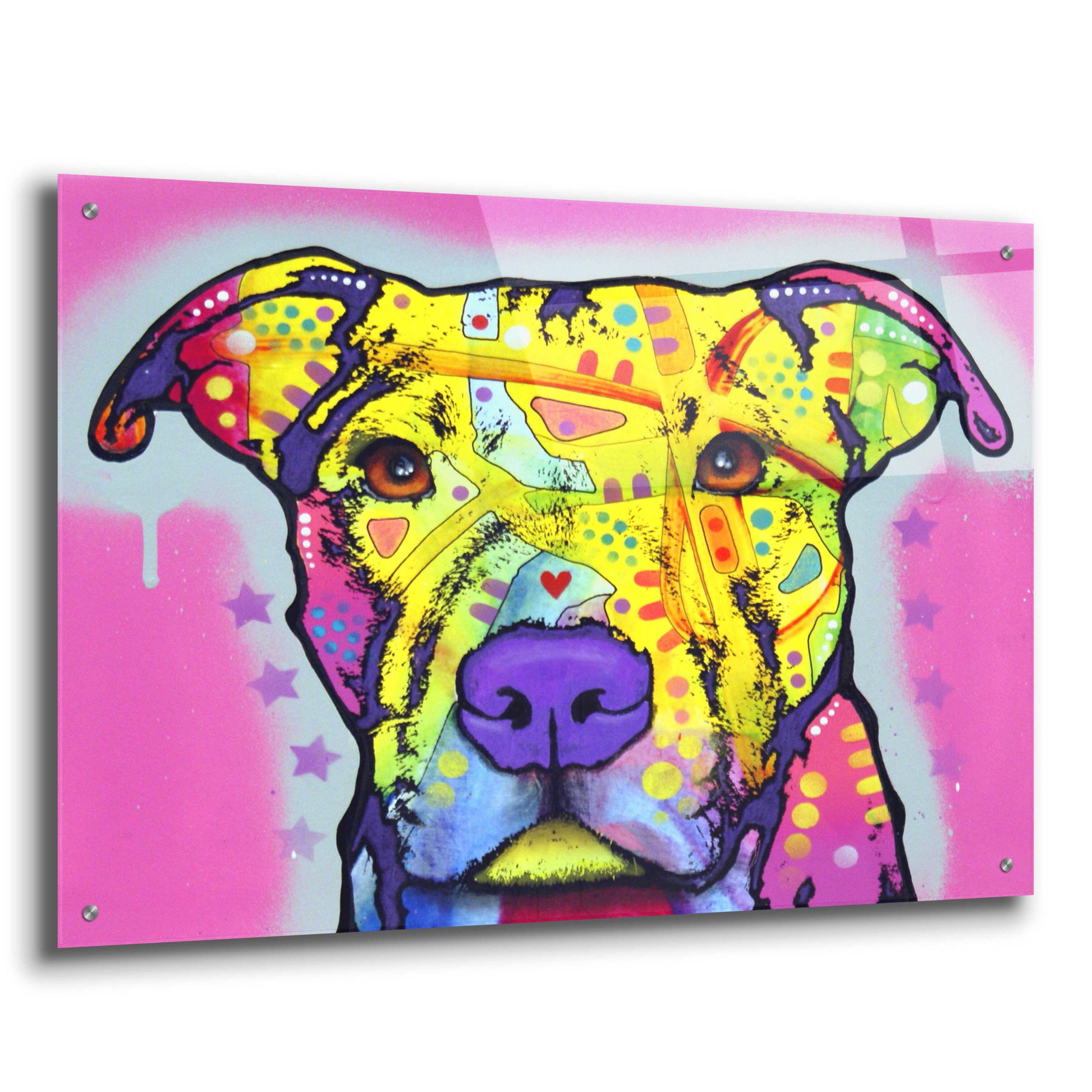 Epic Art 'Focused Pit' by Dean Russo, Acrylic Glass Wall Art,36x24