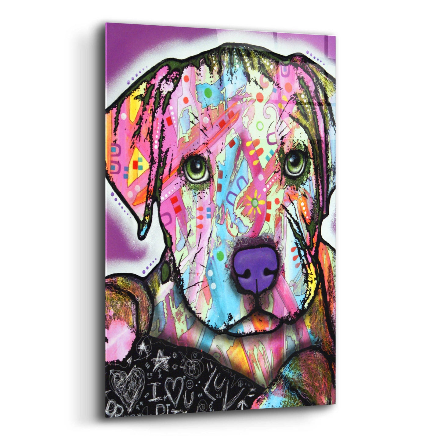 Epic Art 'Baby Pit' by Dean Russo, Acrylic Glass Wall Art,12x16