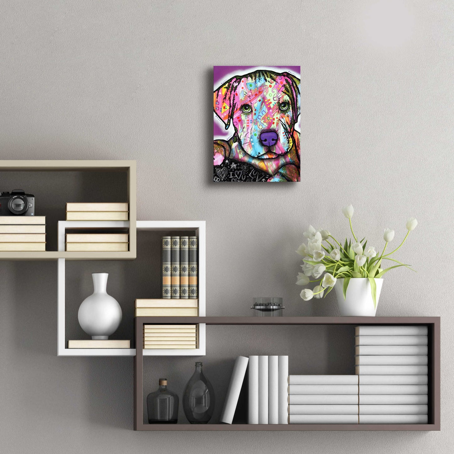 Epic Art 'Baby Pit' by Dean Russo, Acrylic Glass Wall Art,12x16