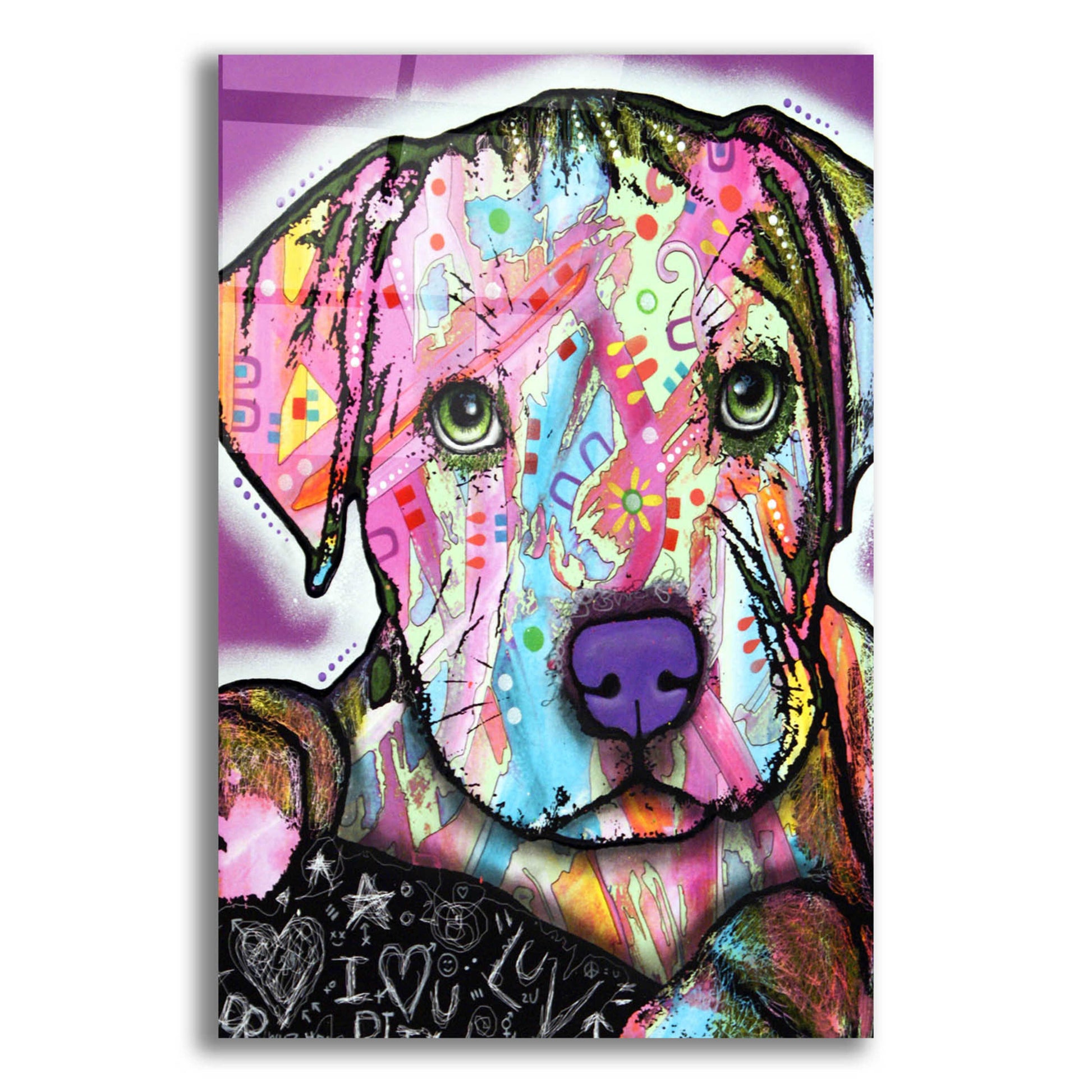 Epic Art 'Baby Pit' by Dean Russo, Acrylic Glass Wall Art,12x16