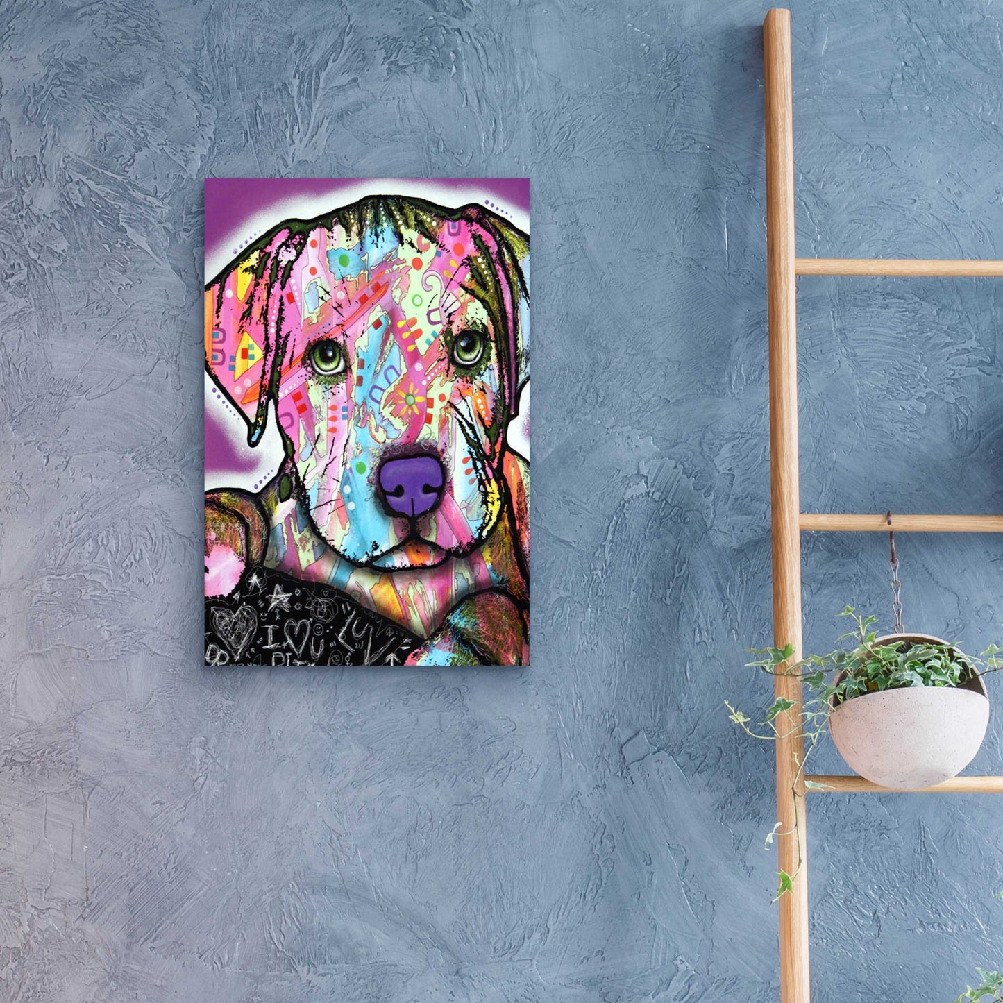 Epic Art 'Baby Pit' by Dean Russo, Acrylic Glass Wall Art,16x24