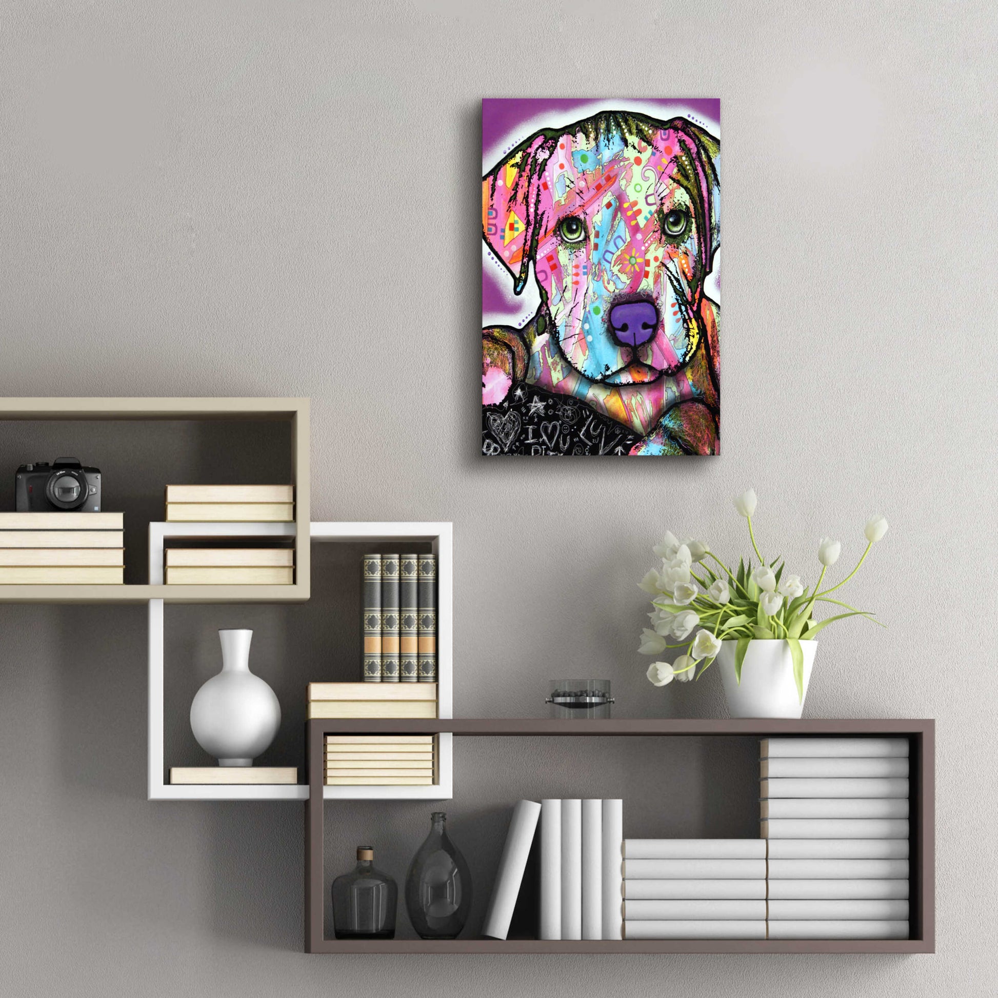 Epic Art 'Baby Pit' by Dean Russo, Acrylic Glass Wall Art,16x24