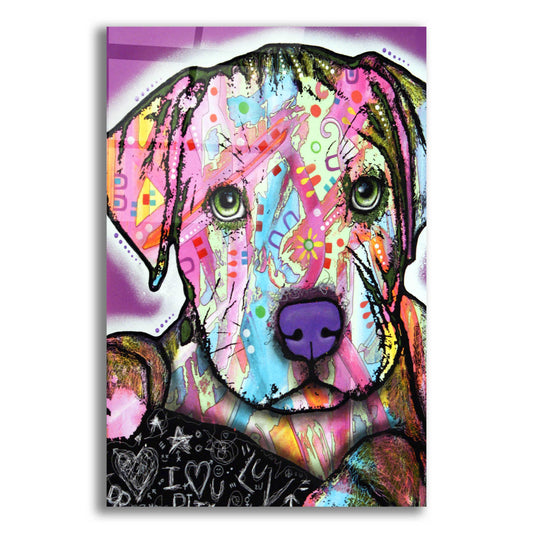 Epic Art 'Baby Pit' by Dean Russo, Acrylic Glass Wall Art