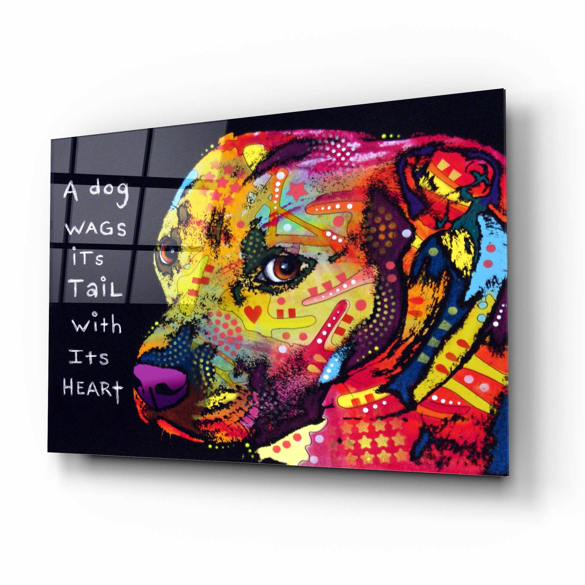 Epic Art 'Gratitude Pitbull' by Dean Russo, Acrylic Glass Wall Art,16x12