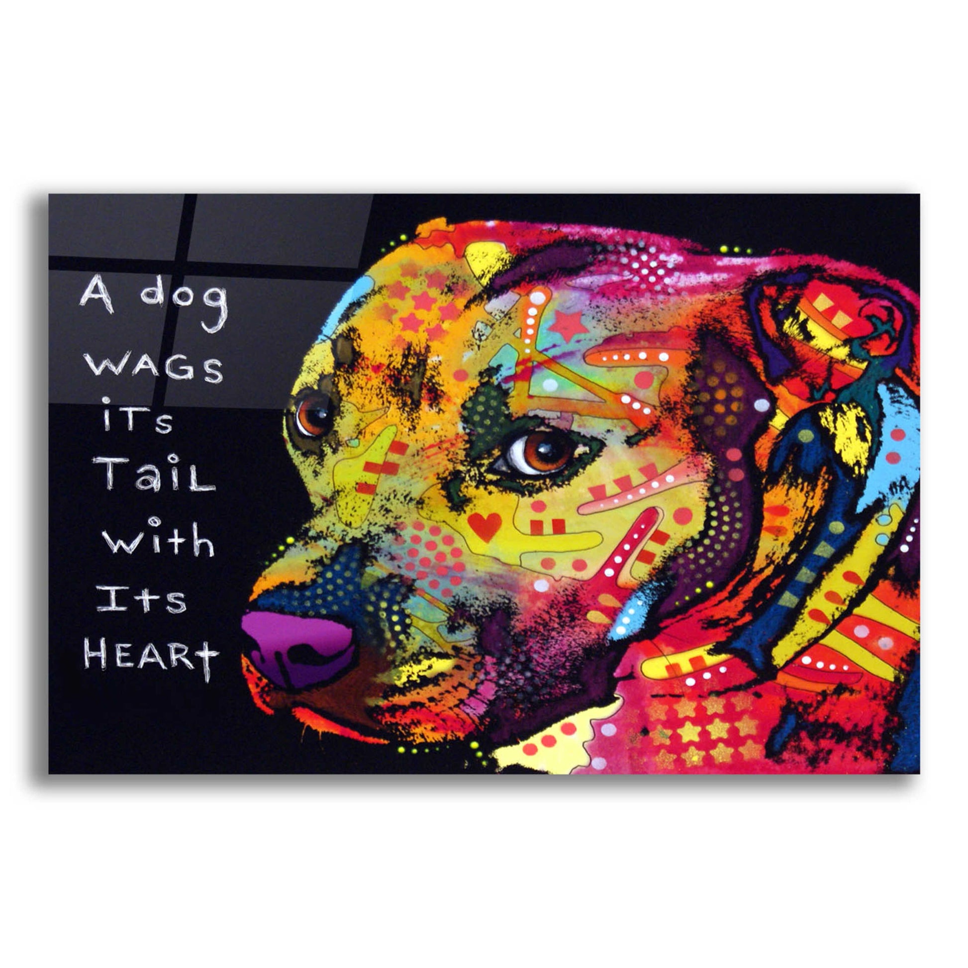 Epic Art 'Gratitude Pitbull' by Dean Russo, Acrylic Glass Wall Art,16x12