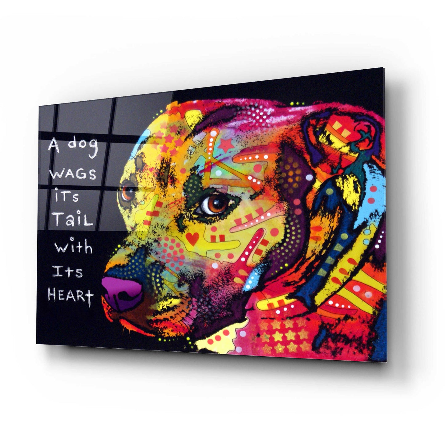 Epic Art 'Gratitude Pitbull' by Dean Russo, Acrylic Glass Wall Art,24x16