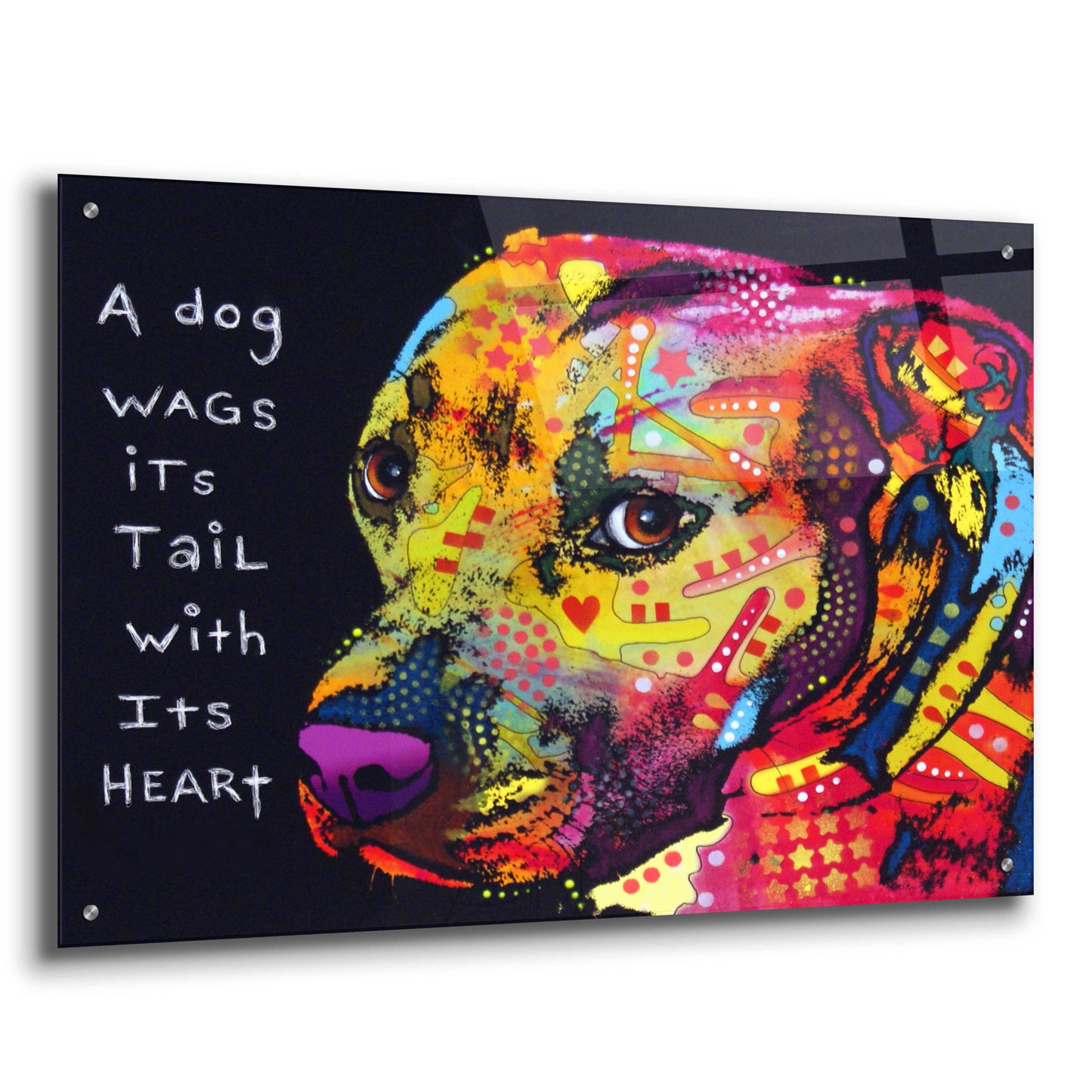 Epic Art 'Gratitude Pitbull' by Dean Russo, Acrylic Glass Wall Art,36x24