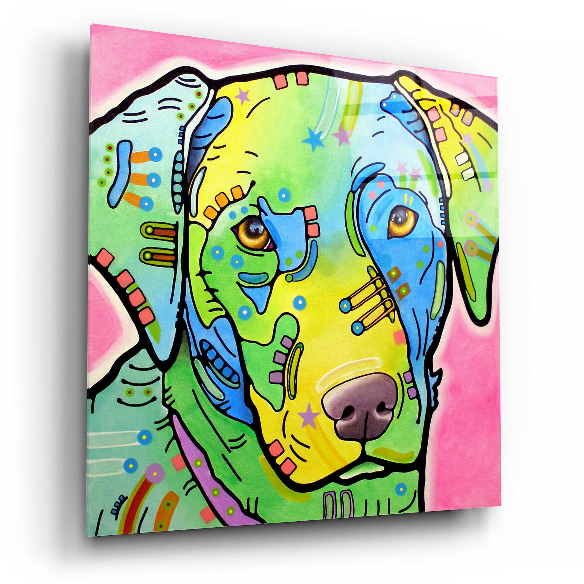 Epic Art 'Labrador' by Dean Russo, Acrylic Glass Wall Art,12x12