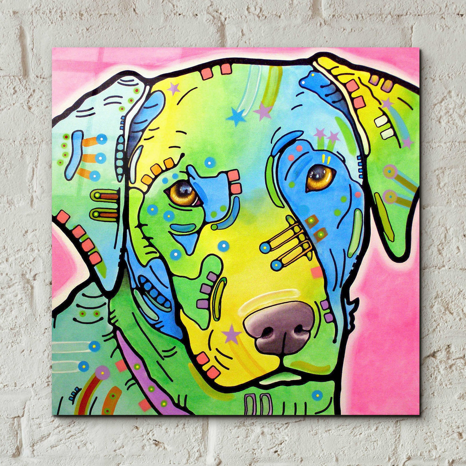 Epic Art 'Labrador' by Dean Russo, Acrylic Glass Wall Art,12x12