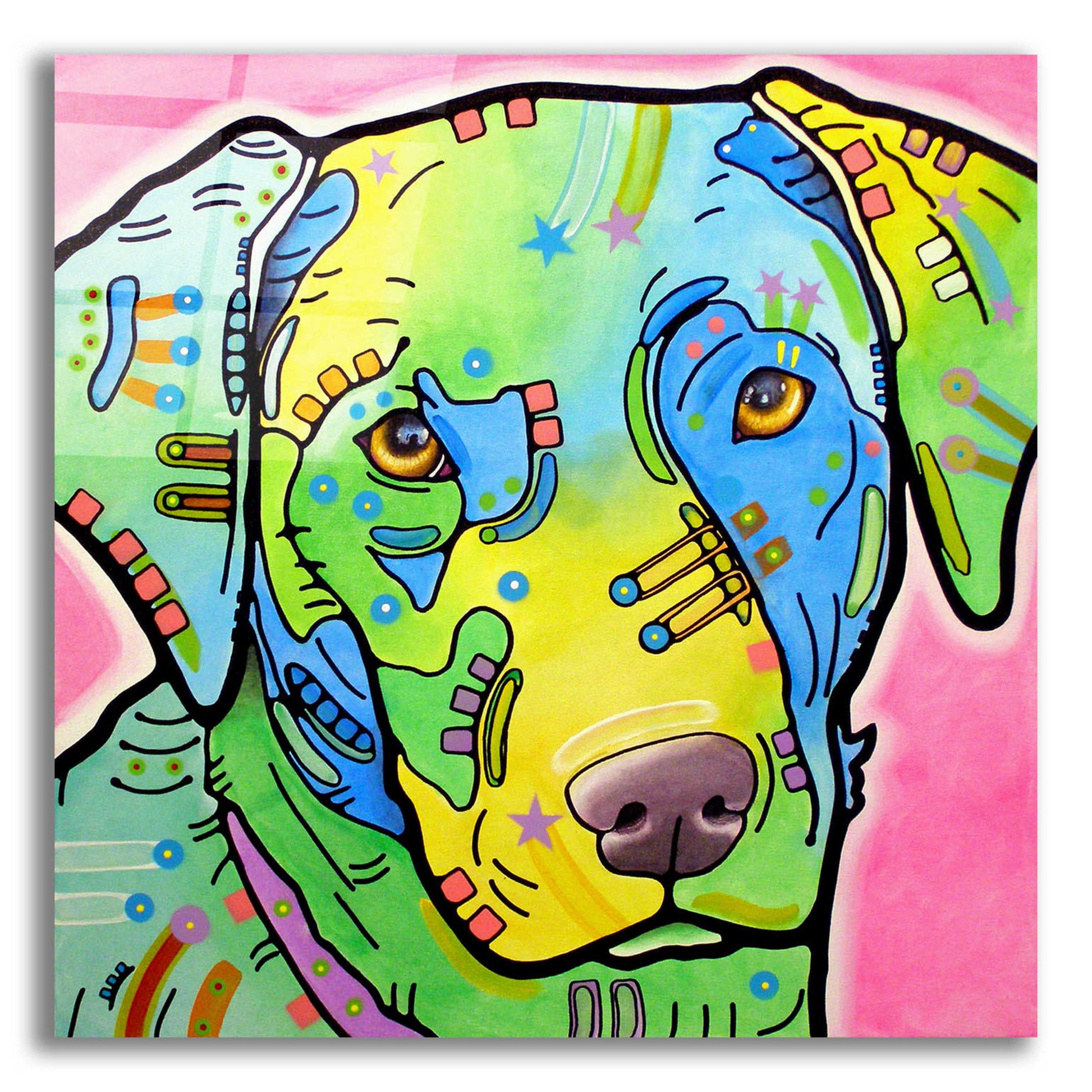 Epic Art 'Labrador' by Dean Russo, Acrylic Glass Wall Art,12x12