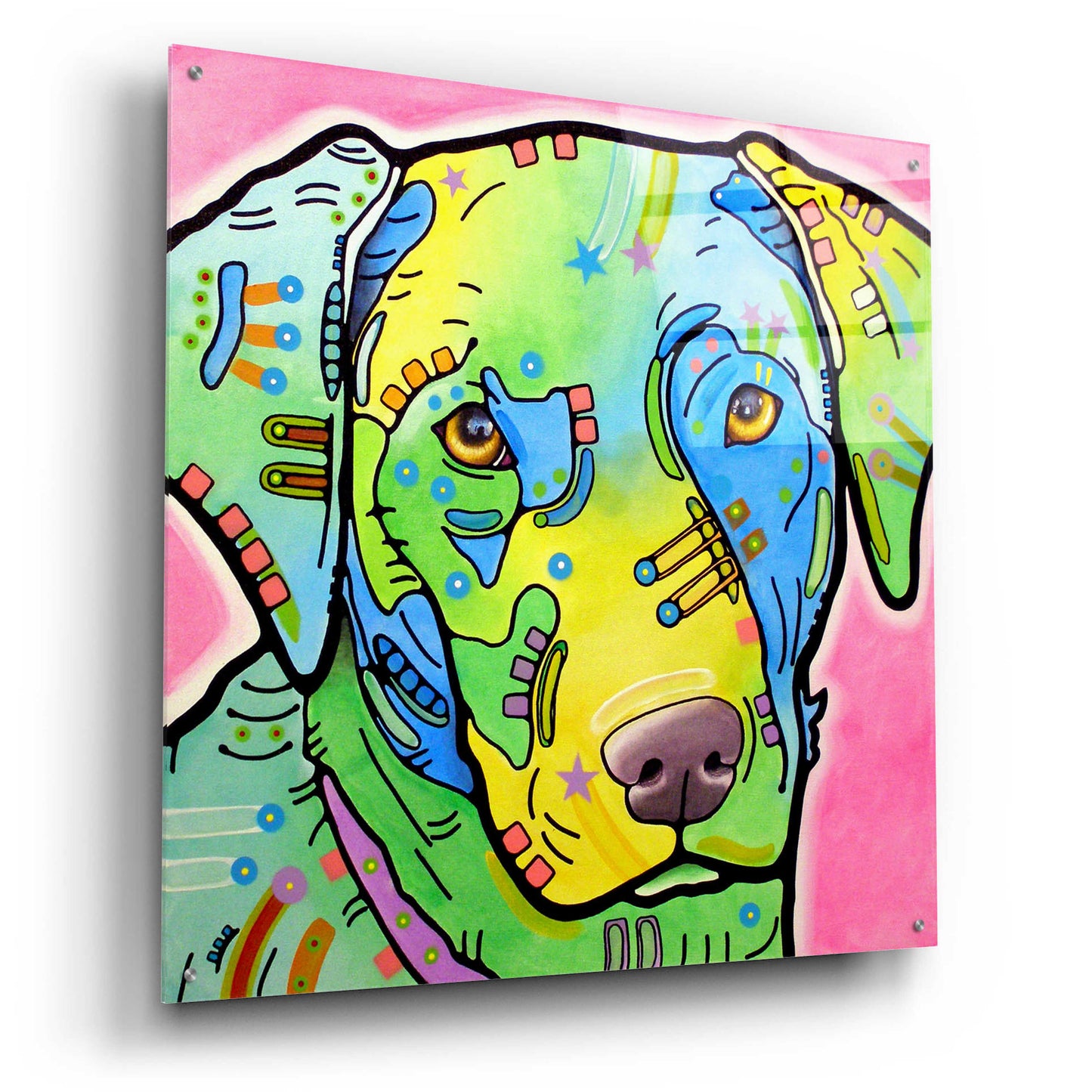 Epic Art 'Labrador' by Dean Russo, Acrylic Glass Wall Art,36x36