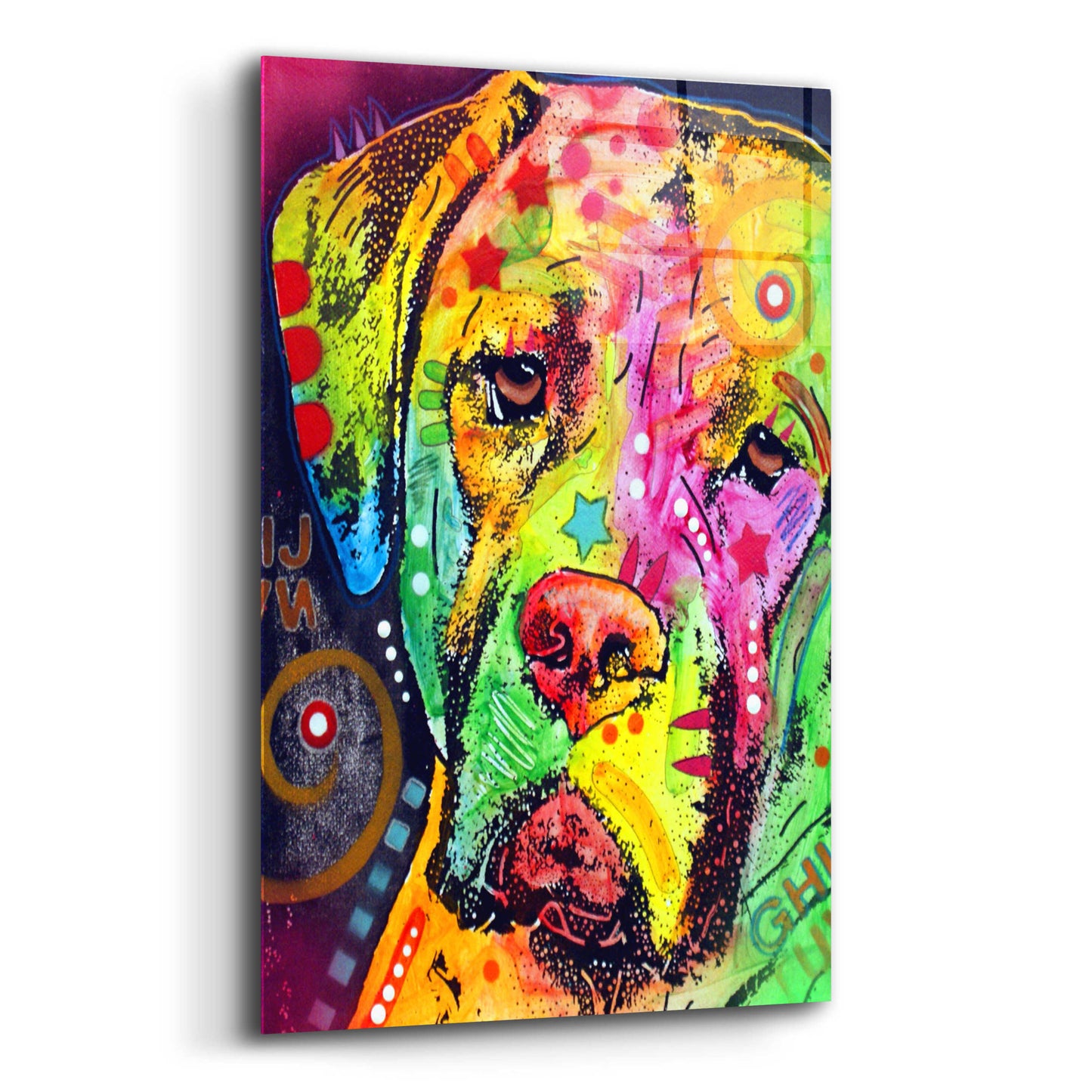 Epic Art 'Mastiff' by Dean Russo, Acrylic Glass Wall Art,12x16