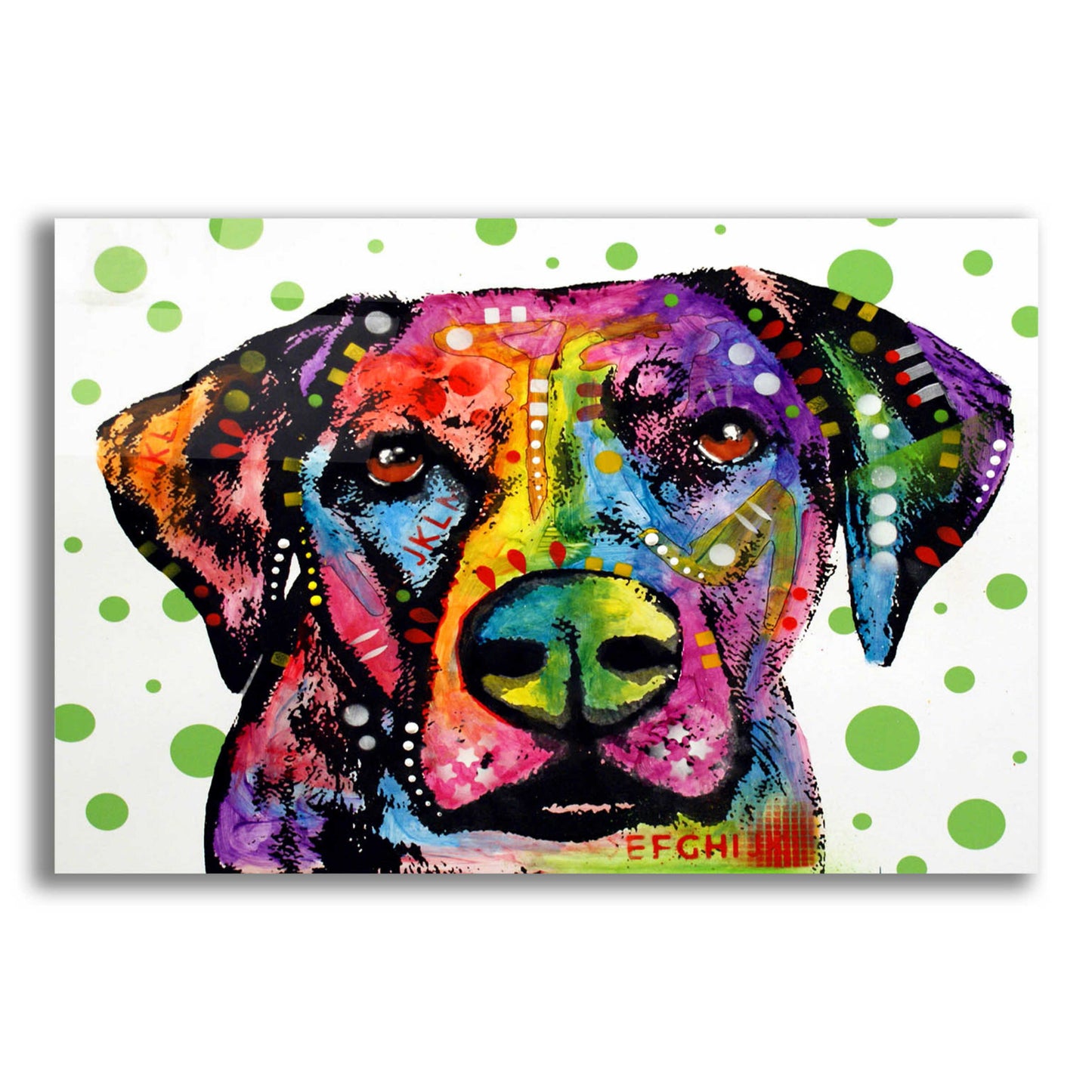 Epic Art 'Rhodesian' by Dean Russo, Acrylic Glass Wall Art,16x12