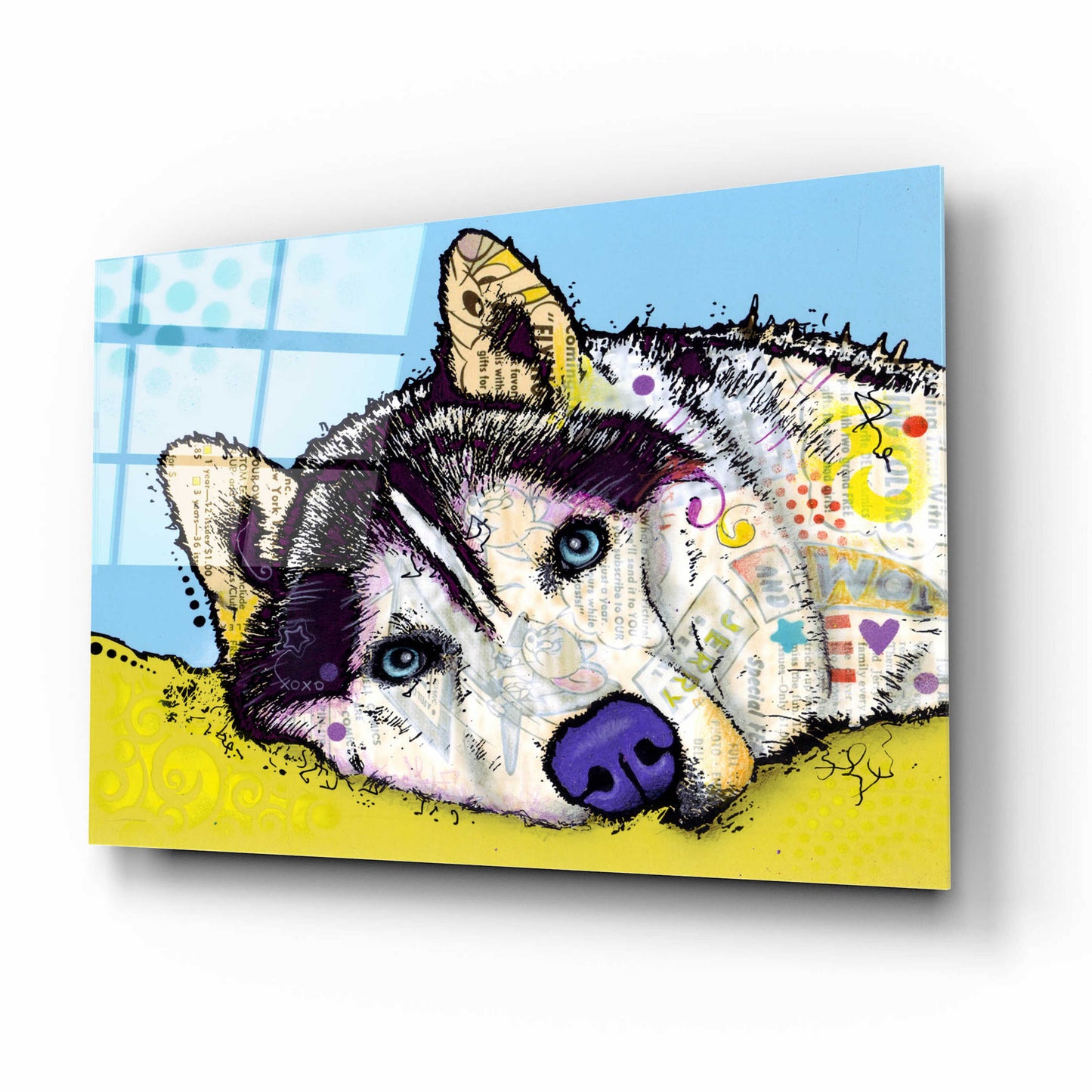 Epic Art 'Siberian Husky 2' by Dean Russo, Acrylic Glass Wall Art,16x12