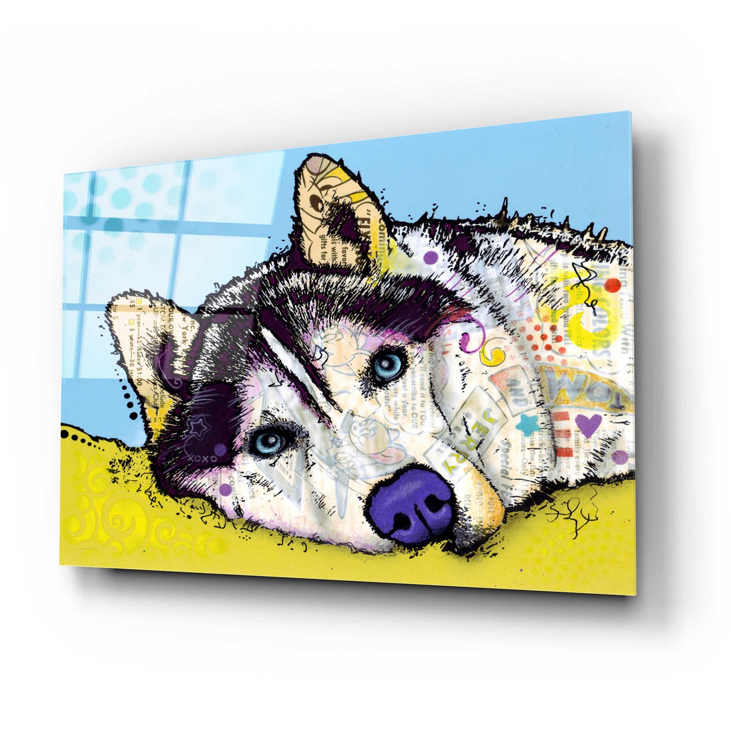 Epic Art 'Siberian Husky 2' by Dean Russo, Acrylic Glass Wall Art,24x16