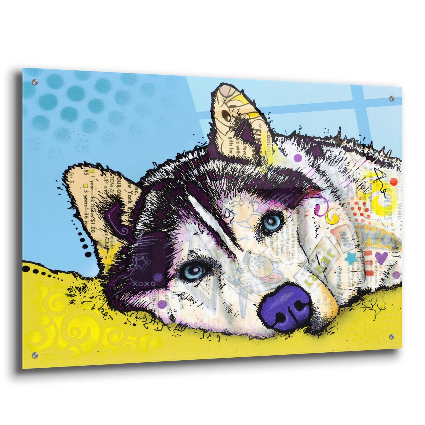 Epic Art 'Siberian Husky 2' by Dean Russo, Acrylic Glass Wall Art,36x24