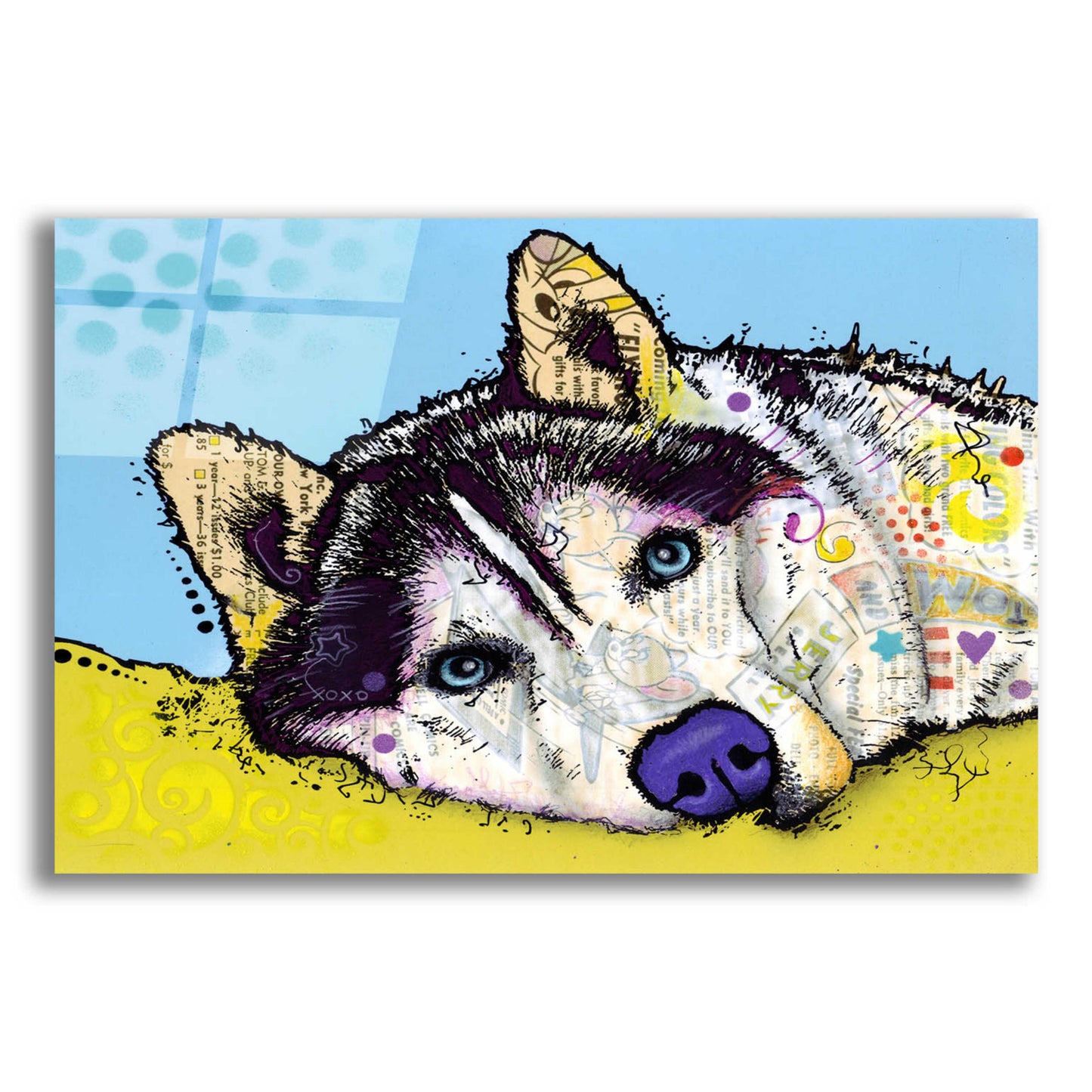 Epic Art 'Siberian Husky 2' by Dean Russo, Acrylic Glass Wall Art