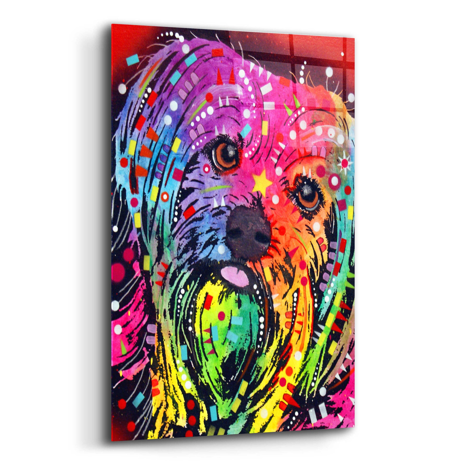 Epic Art 'Yorkie 2' by Dean Russo, Acrylic Glass Wall Art,12x16