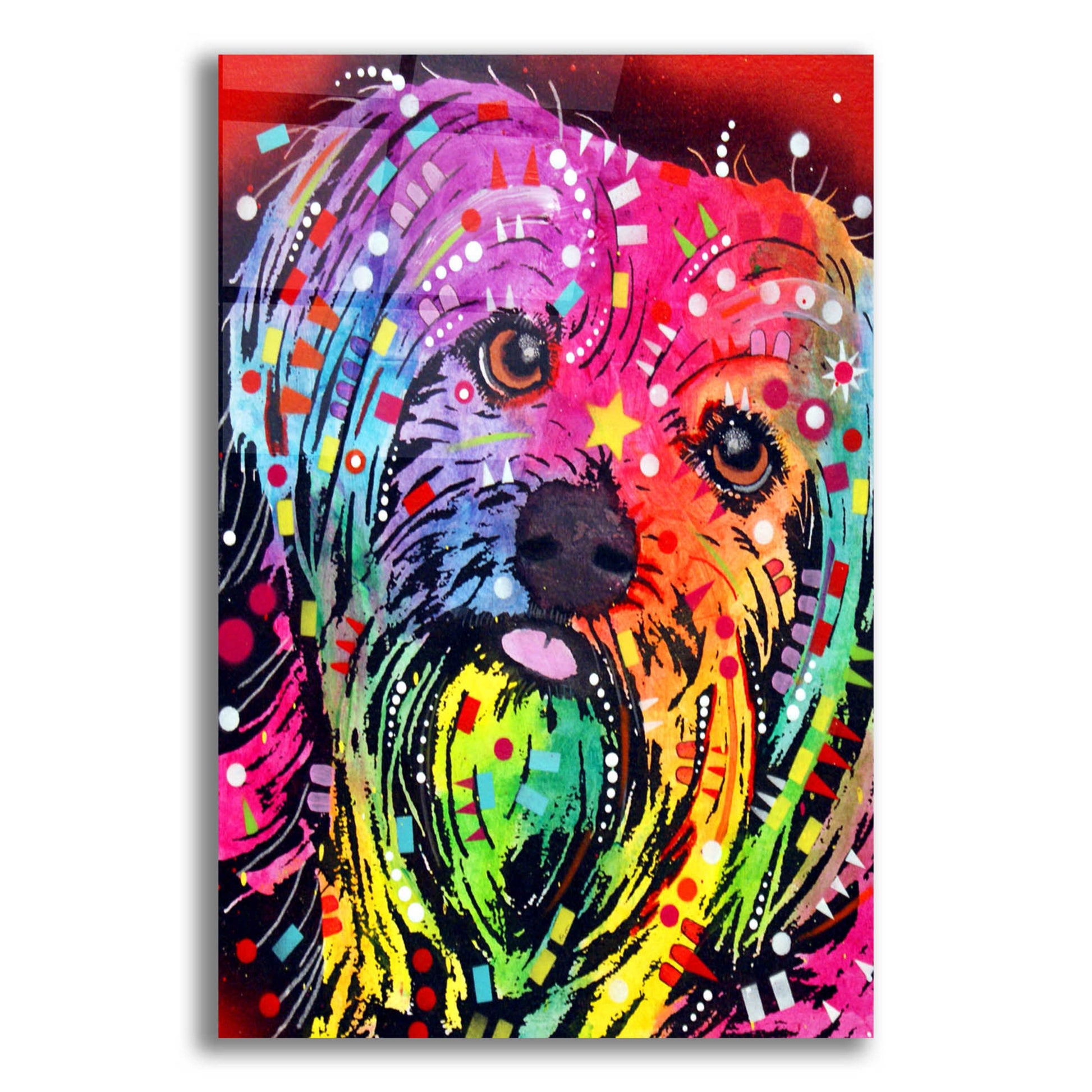 Epic Art 'Yorkie 2' by Dean Russo, Acrylic Glass Wall Art,12x16