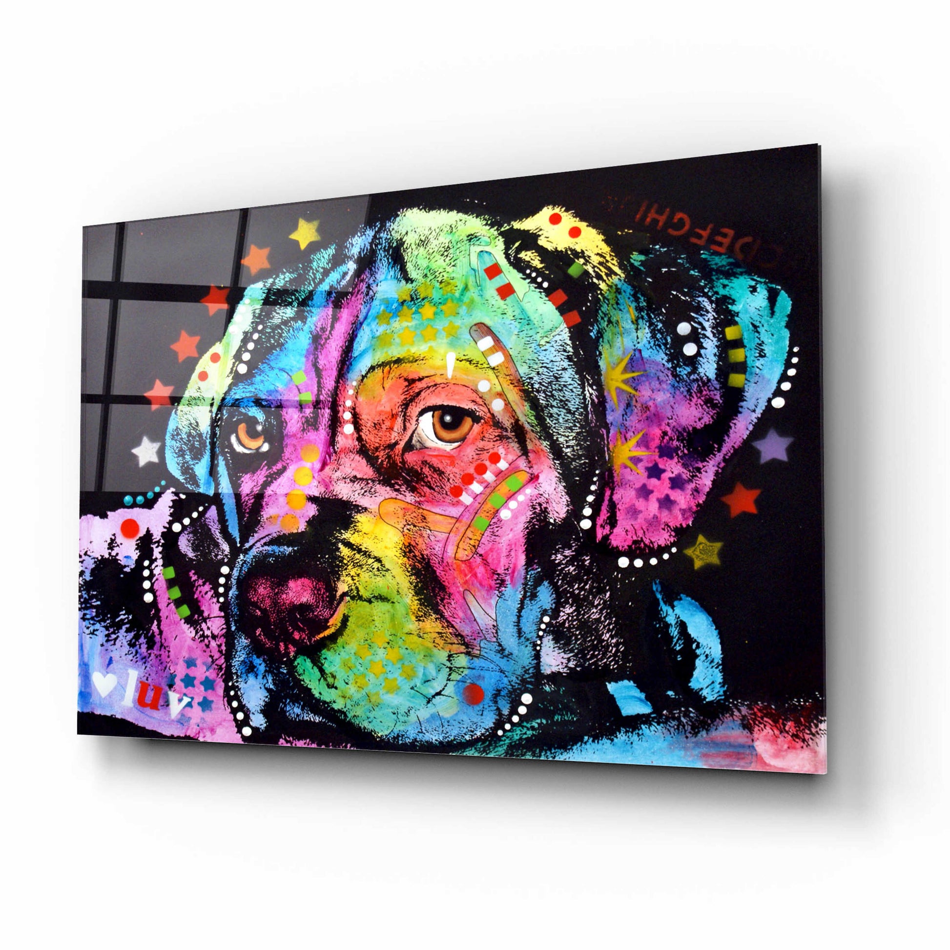 Epic Art 'Young Mastiff' by Dean Russo, Acrylic Glass Wall Art,16x12