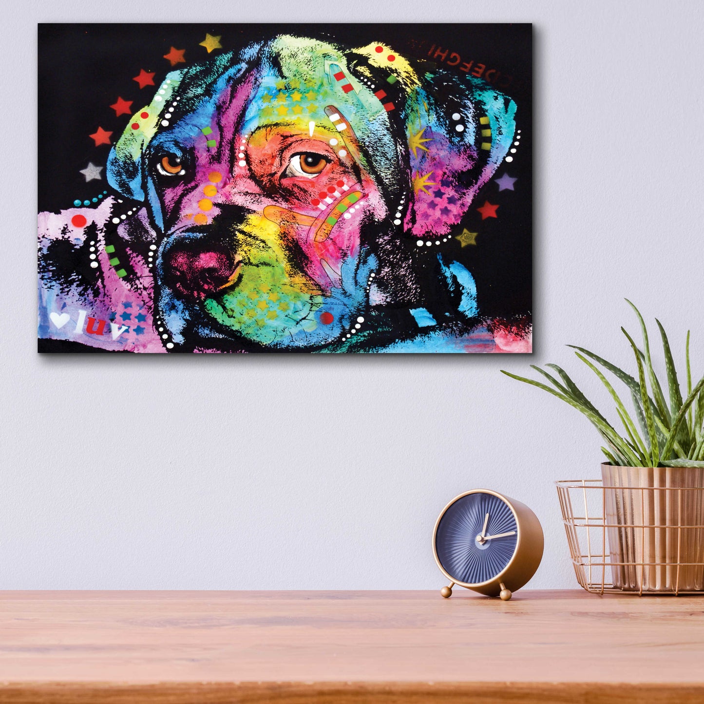Epic Art 'Young Mastiff' by Dean Russo, Acrylic Glass Wall Art,16x12