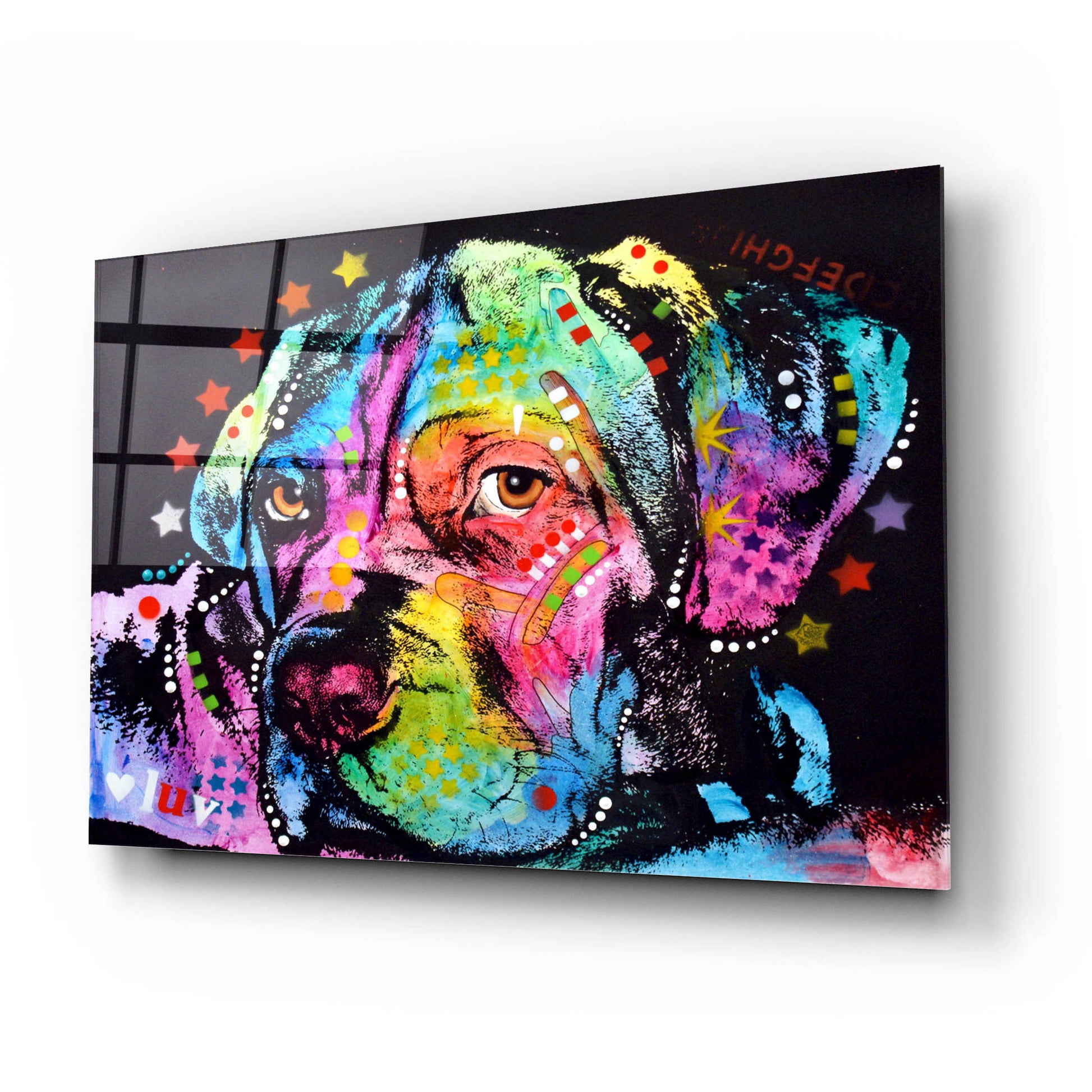 Epic Art 'Young Mastiff' by Dean Russo, Acrylic Glass Wall Art,24x16