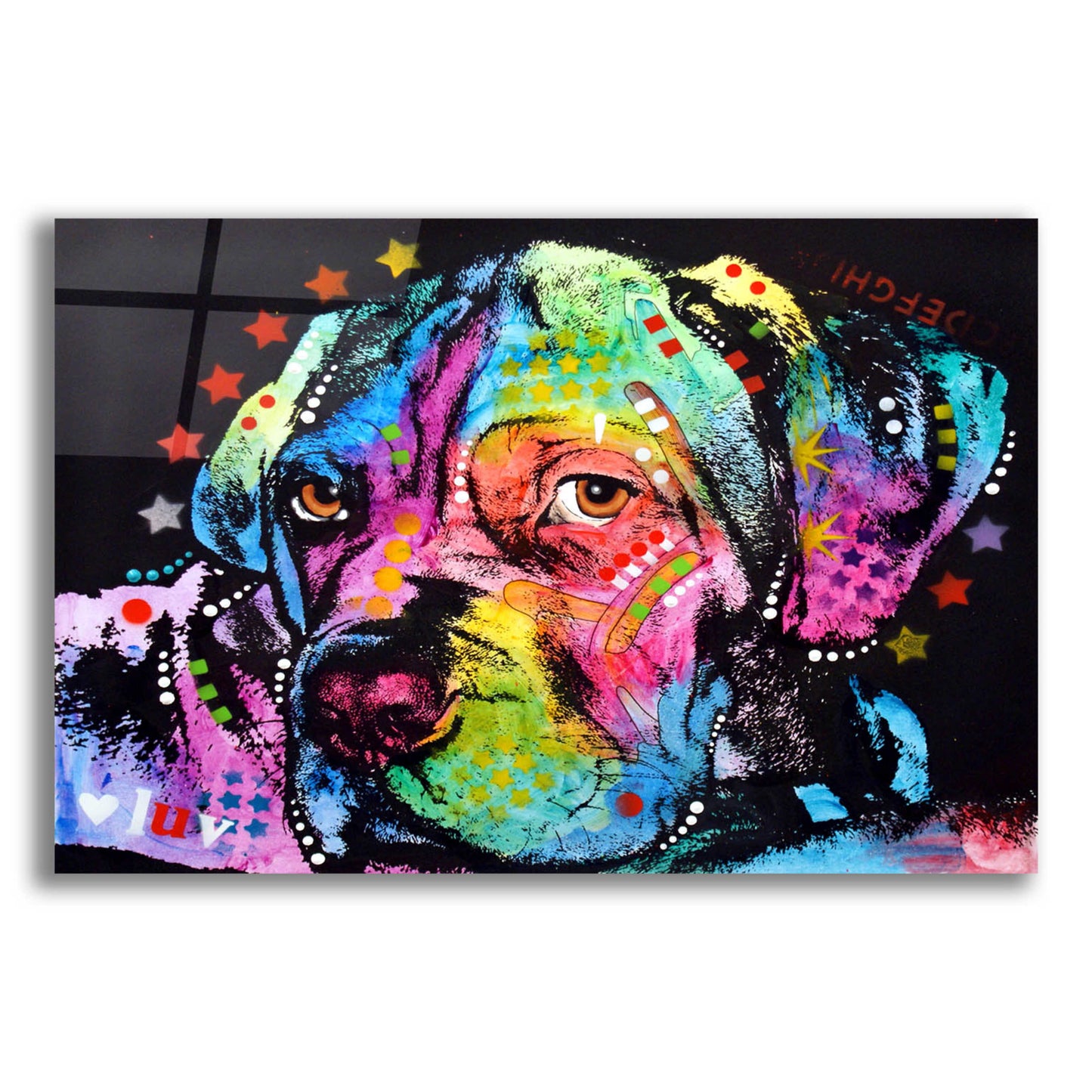 Epic Art 'Young Mastiff' by Dean Russo, Acrylic Glass Wall Art,24x16