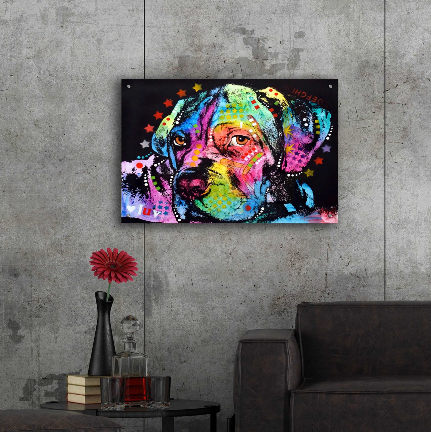 Epic Art 'Young Mastiff' by Dean Russo, Acrylic Glass Wall Art,36x24