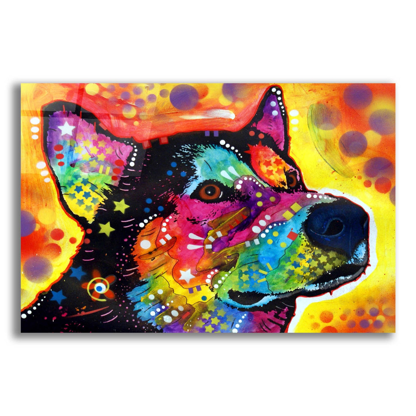 Epic Art 'Zeike' by Dean Russo, Acrylic Glass Wall Art,16x12