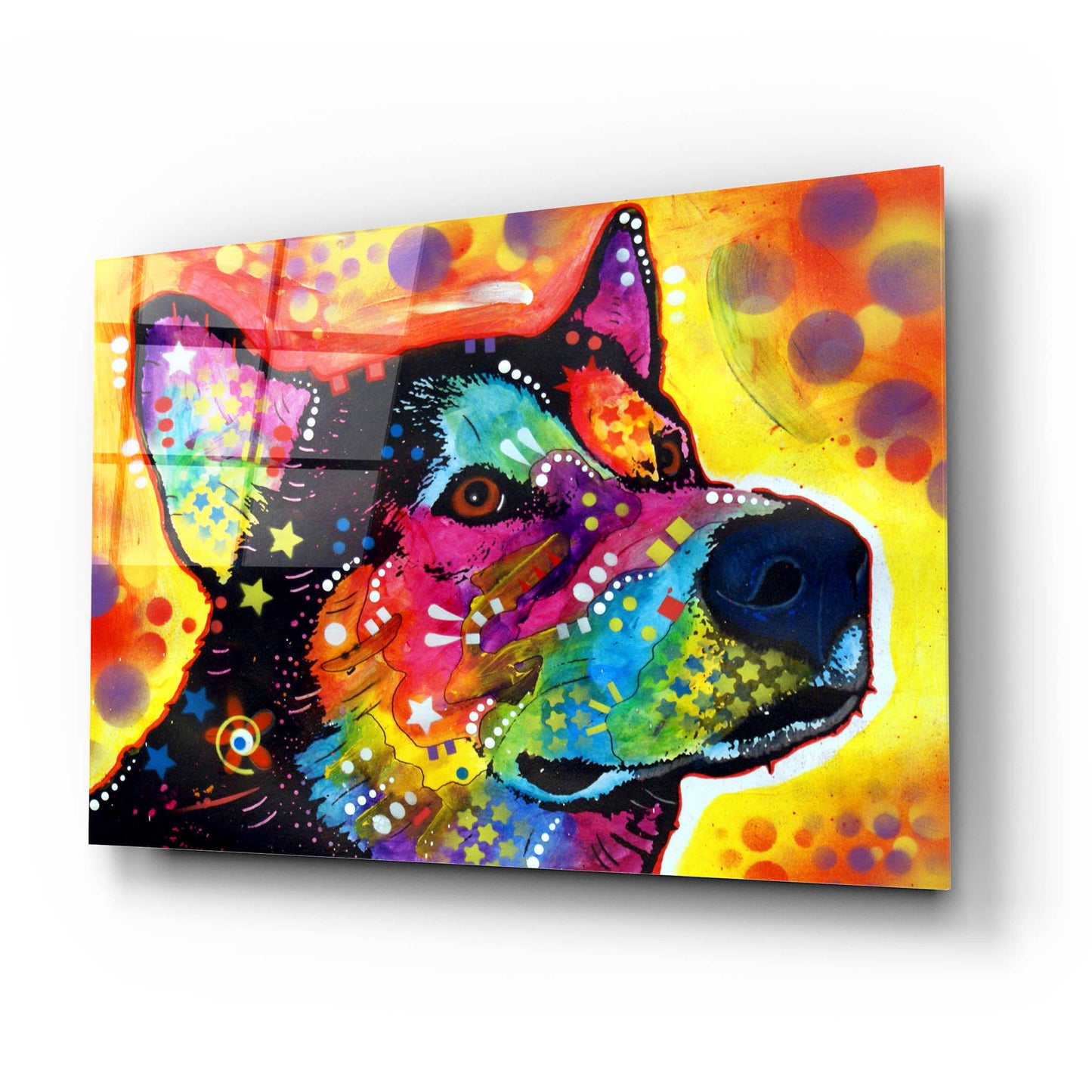 Epic Art 'Zeike' by Dean Russo, Acrylic Glass Wall Art,24x16