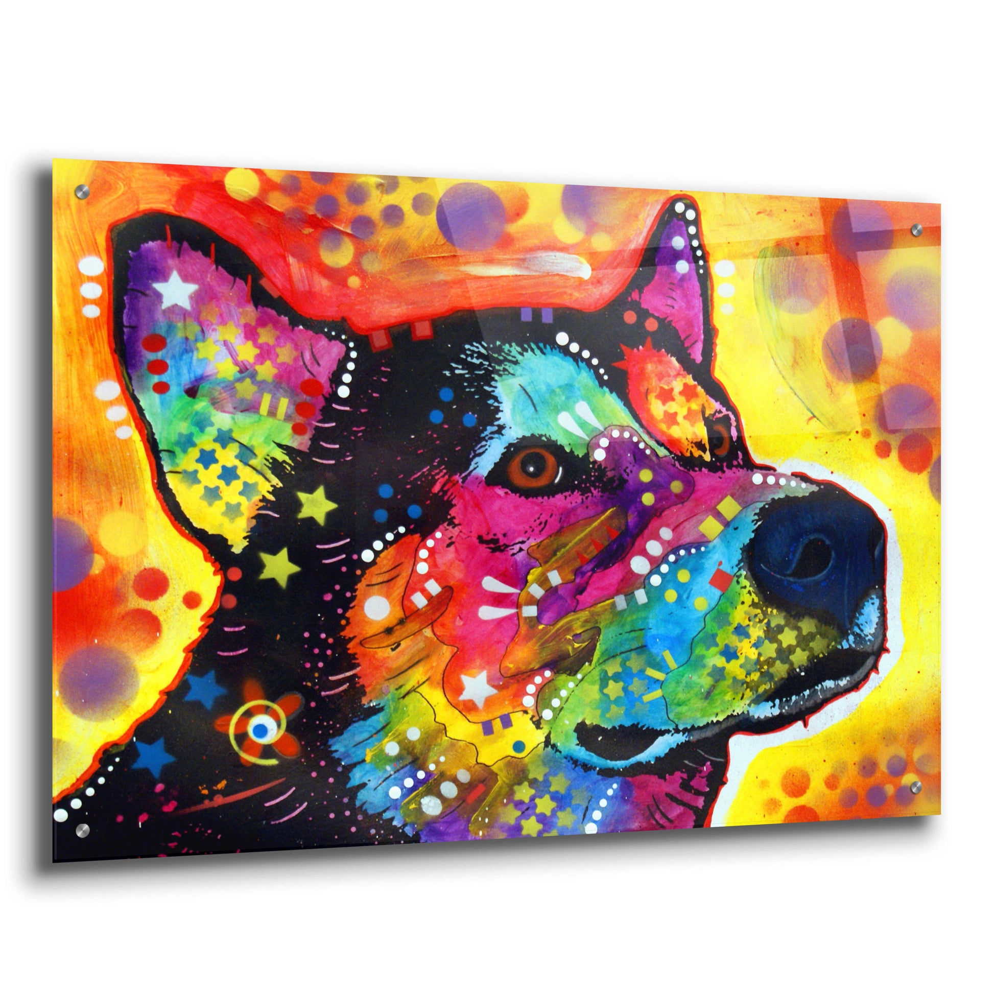 Epic Art 'Zeike' by Dean Russo, Acrylic Glass Wall Art,36x24