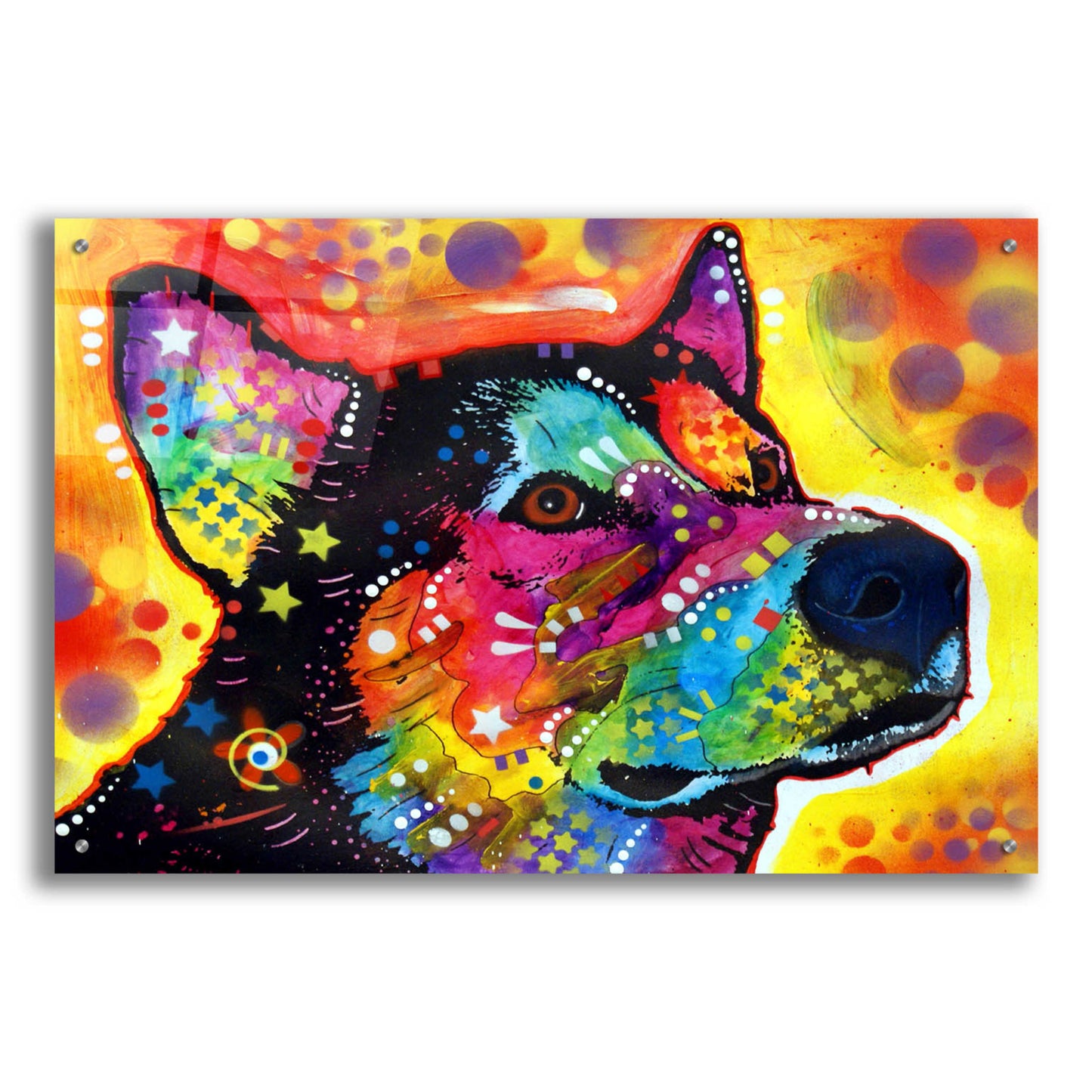 Epic Art 'Zeike' by Dean Russo, Acrylic Glass Wall Art,36x24