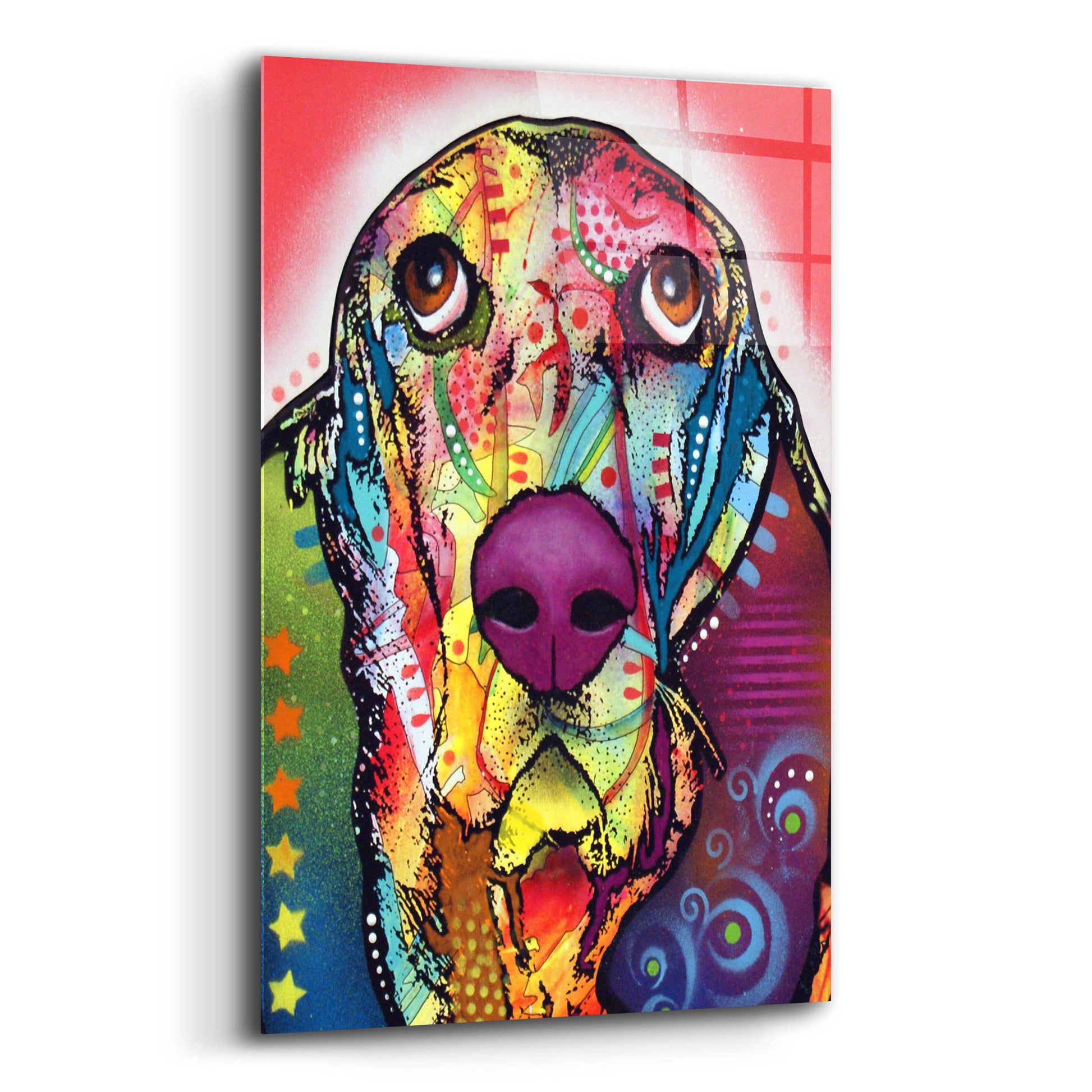 Epic Art 'Basset 1' by Dean Russo, Acrylic Glass Wall Art,12x16