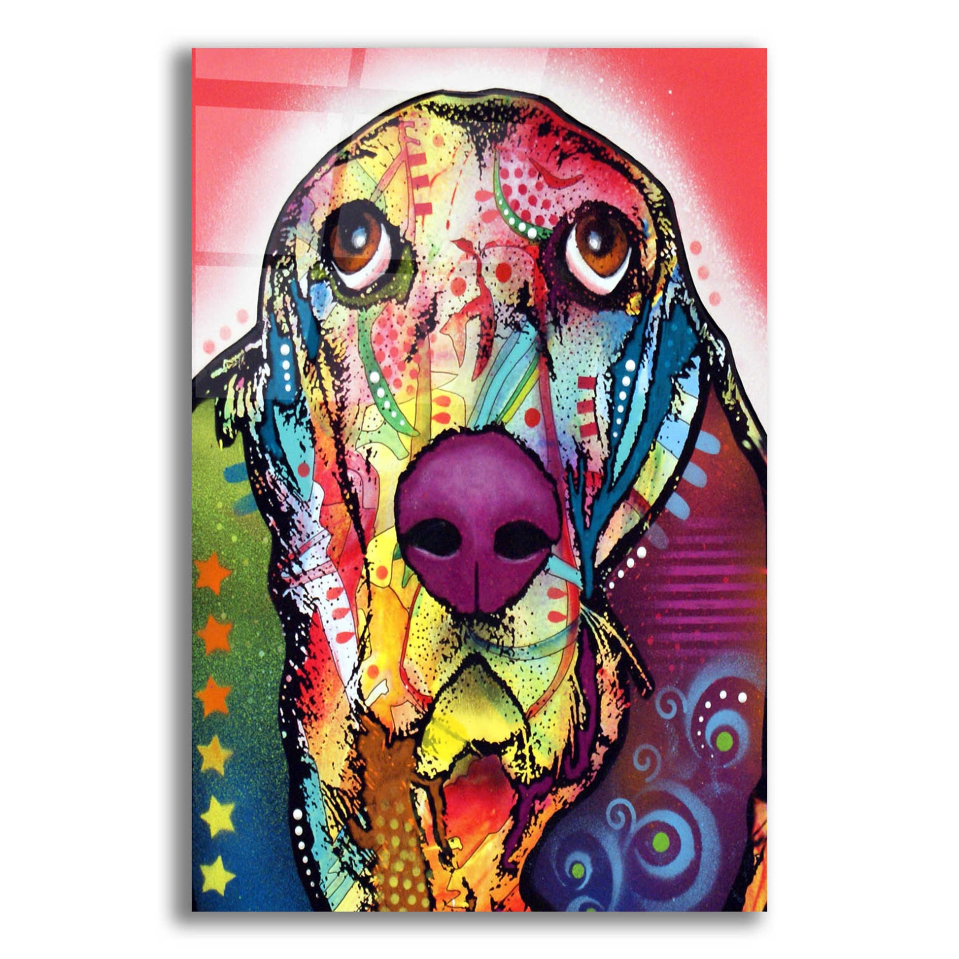 Epic Art 'Basset 1' by Dean Russo, Acrylic Glass Wall Art,12x16