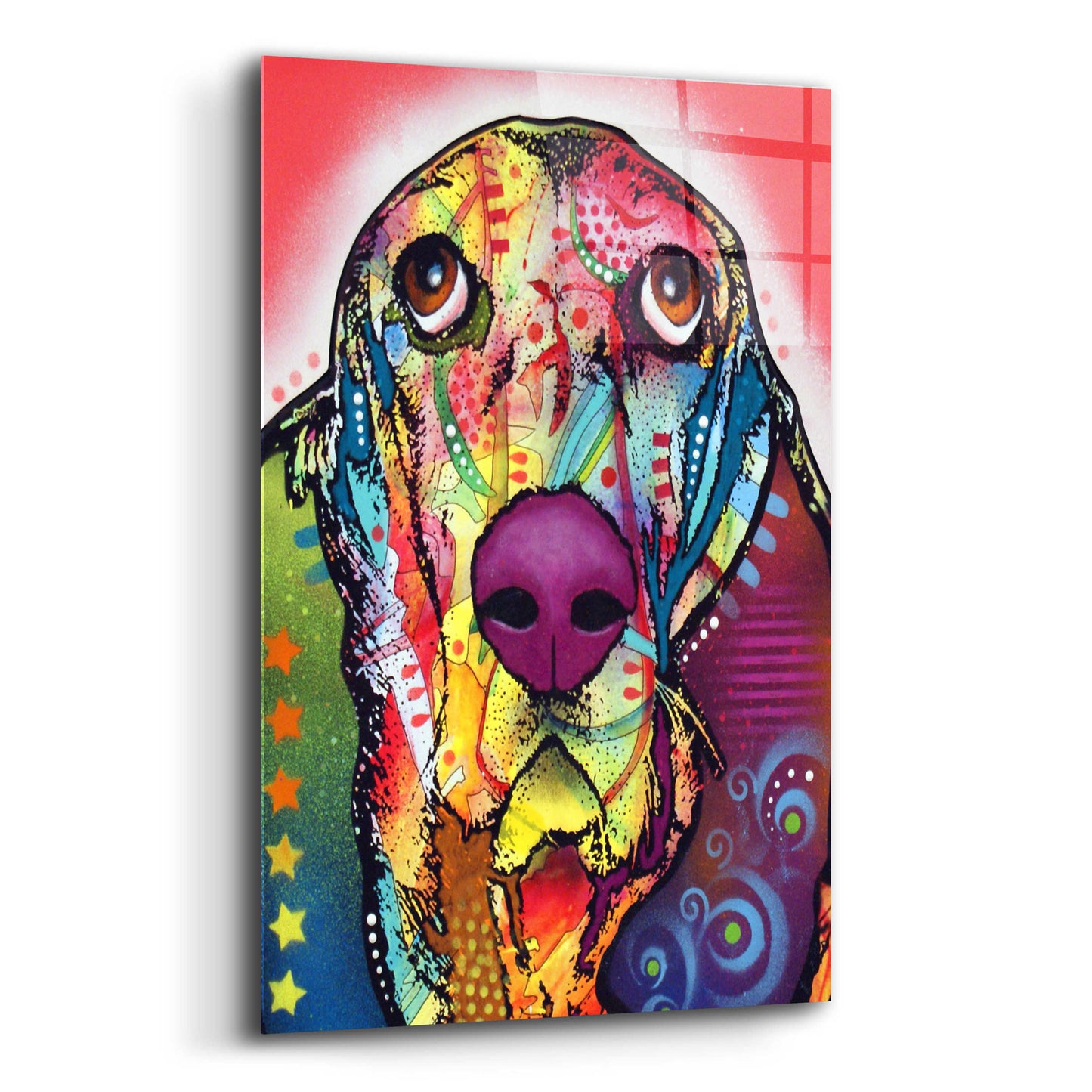 Epic Art 'Basset 1' by Dean Russo, Acrylic Glass Wall Art,16x24