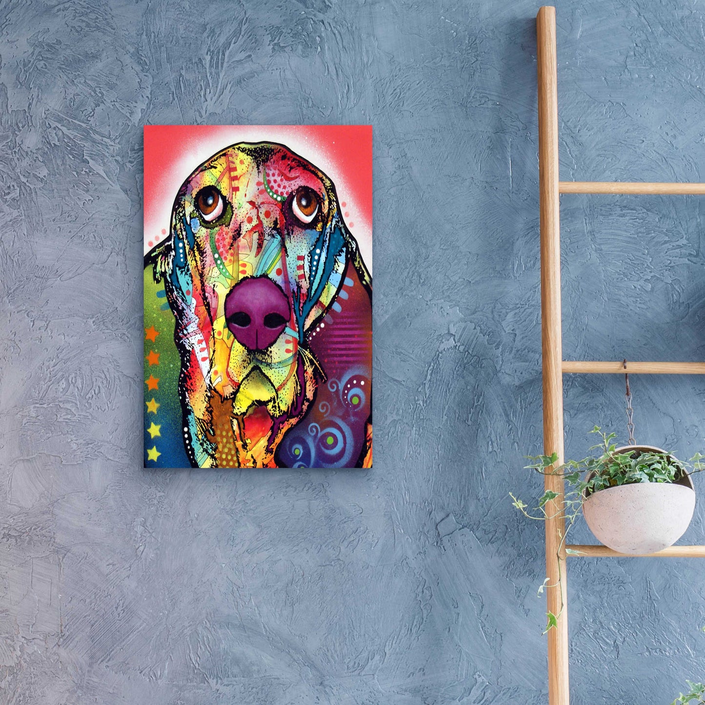 Epic Art 'Basset 1' by Dean Russo, Acrylic Glass Wall Art,16x24